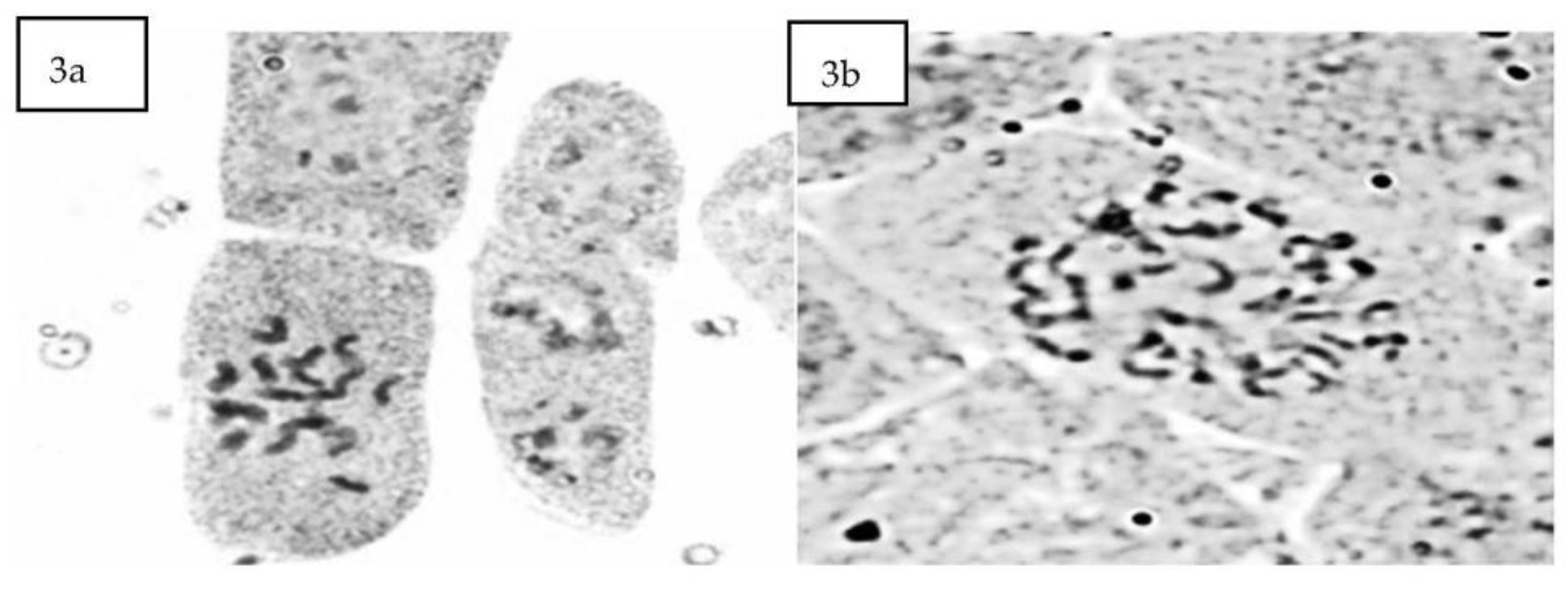 Agronomy 13 01442 g003