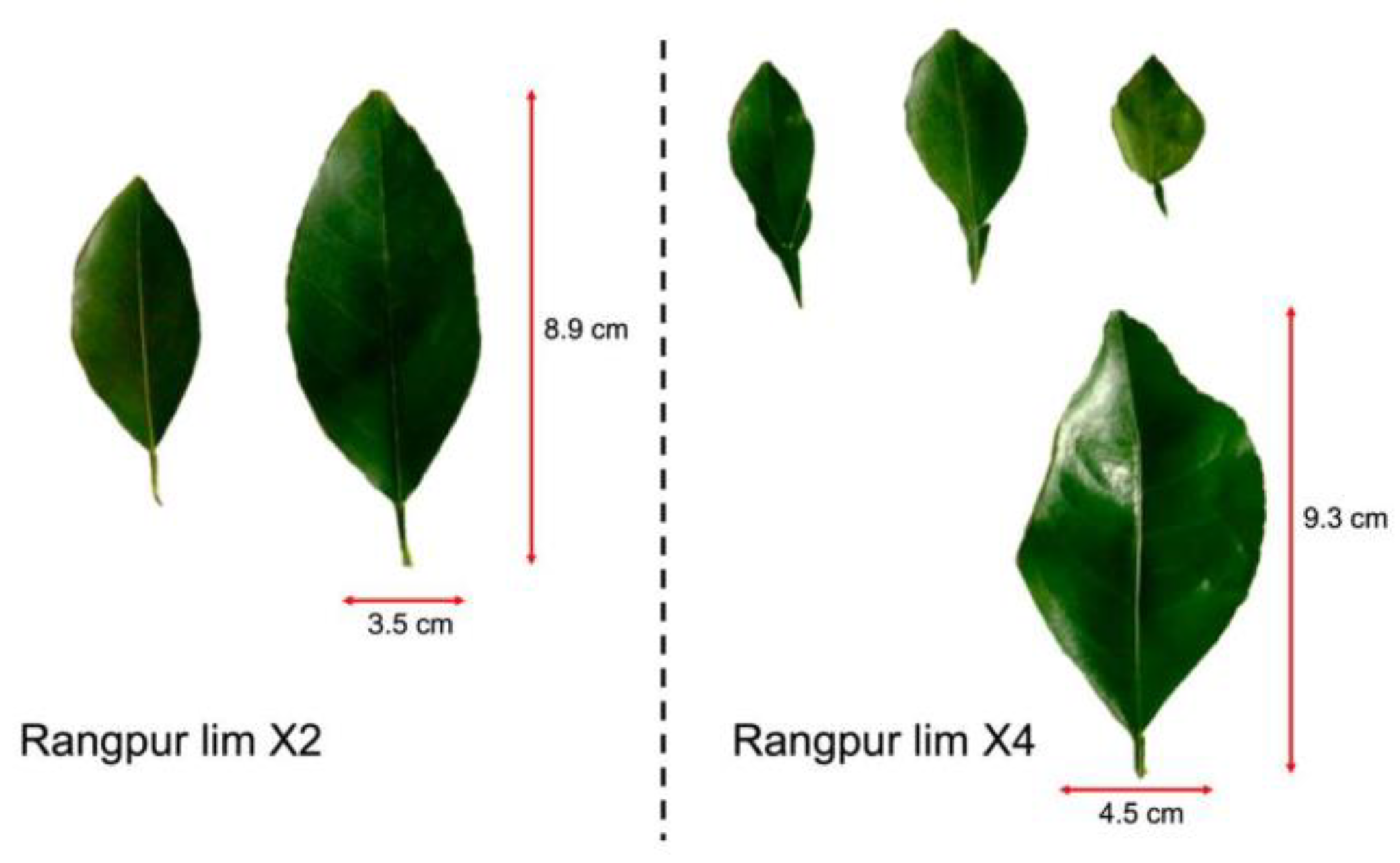 Agronomy 13 01442 g006