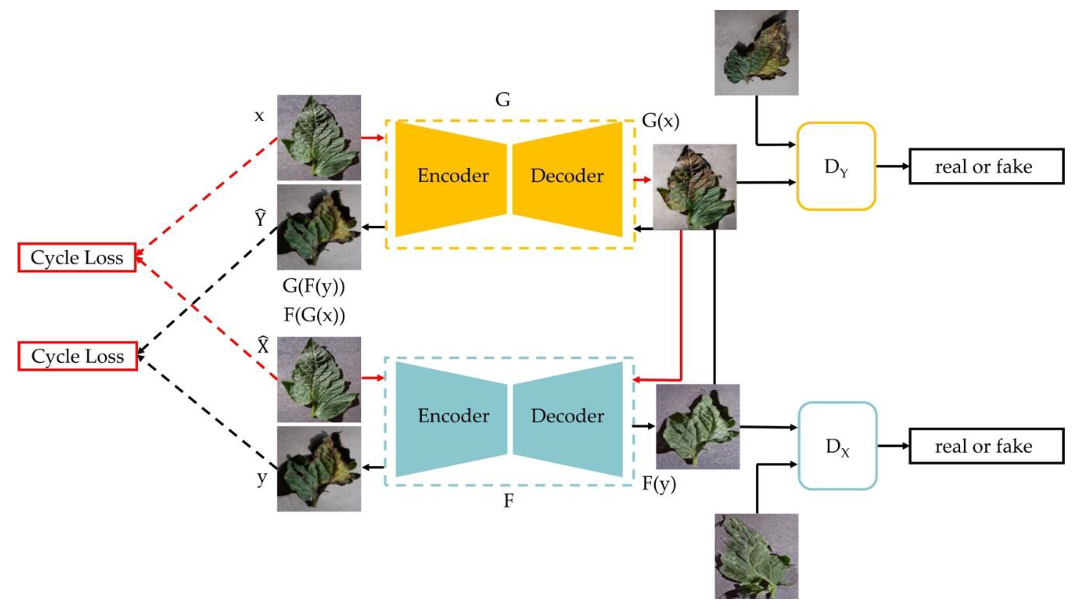 Agronomy 13 01455 g003 Agronomy 13 01455 g003