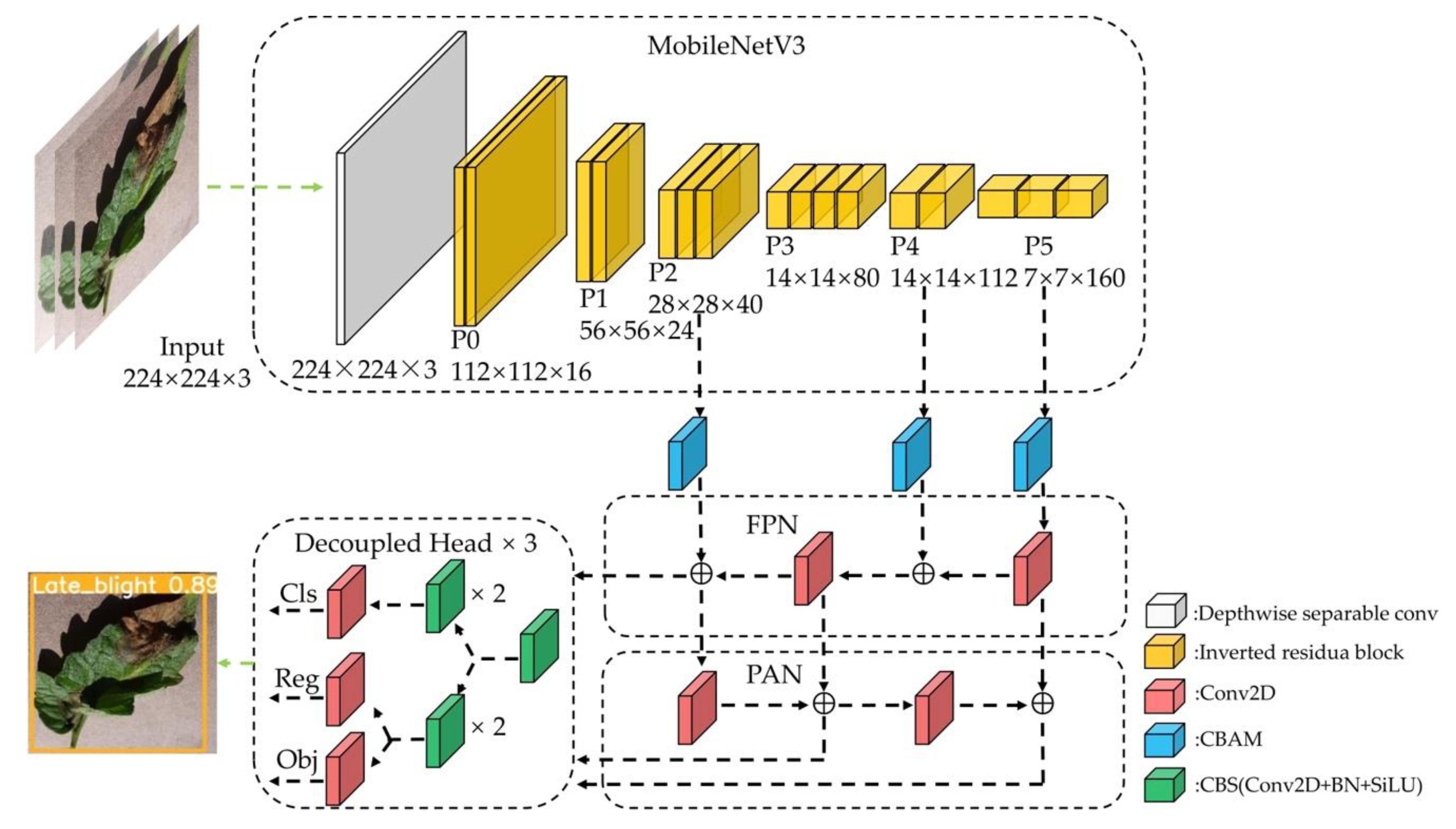 Agronomy 13 01455 g005 Agronomy 13 01455 g005