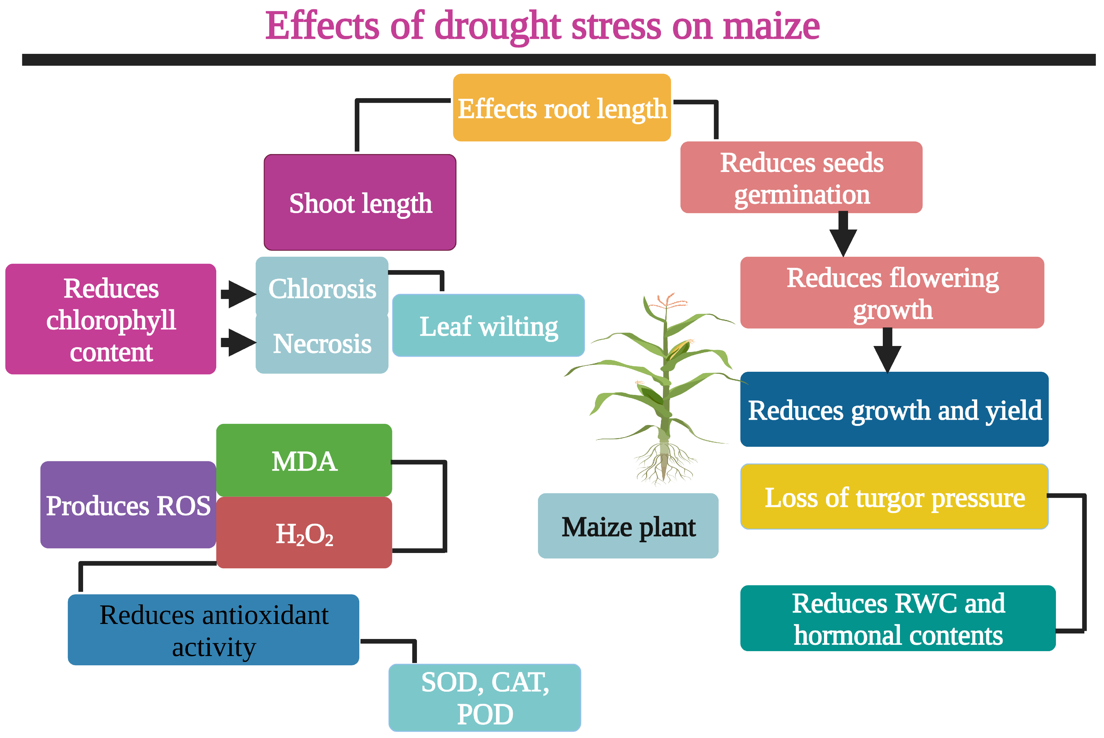 Agronomy 13 01459 g001 Agronomy 13 01459 g001