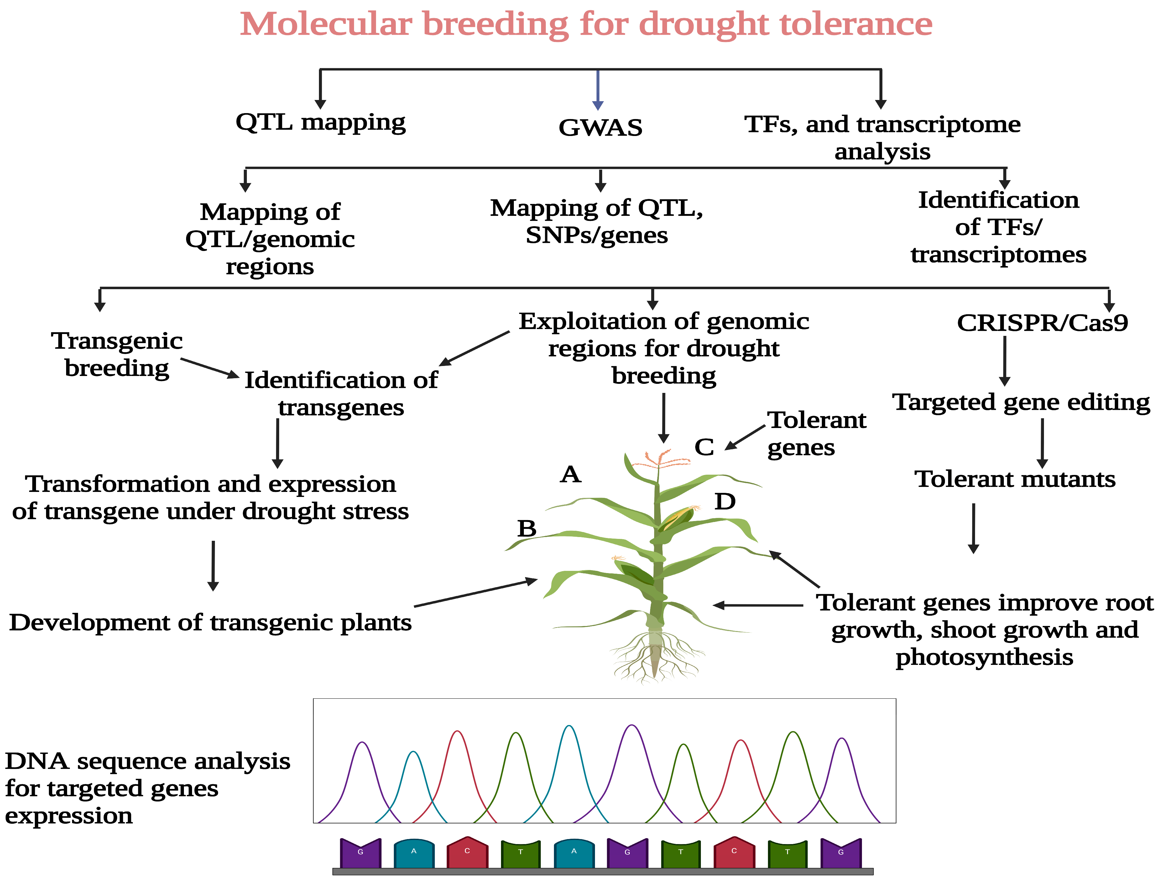 Agronomy 13 01459 g003 Agronomy 13 01459 g003