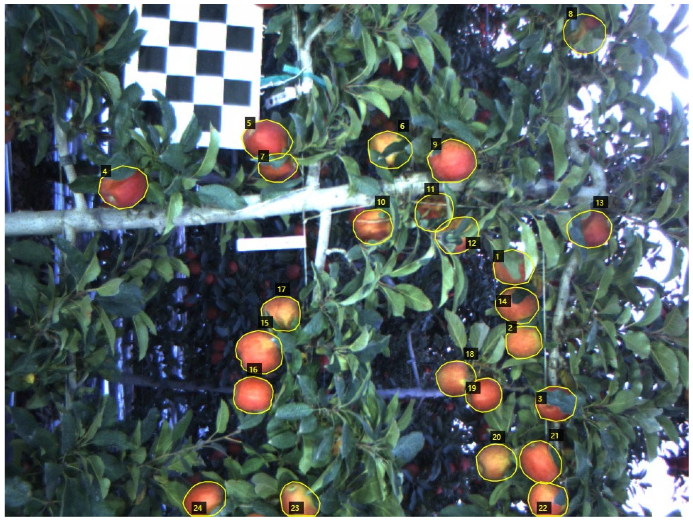 Agronomy 13 01469 g002 Agronomy 13 01469 g002