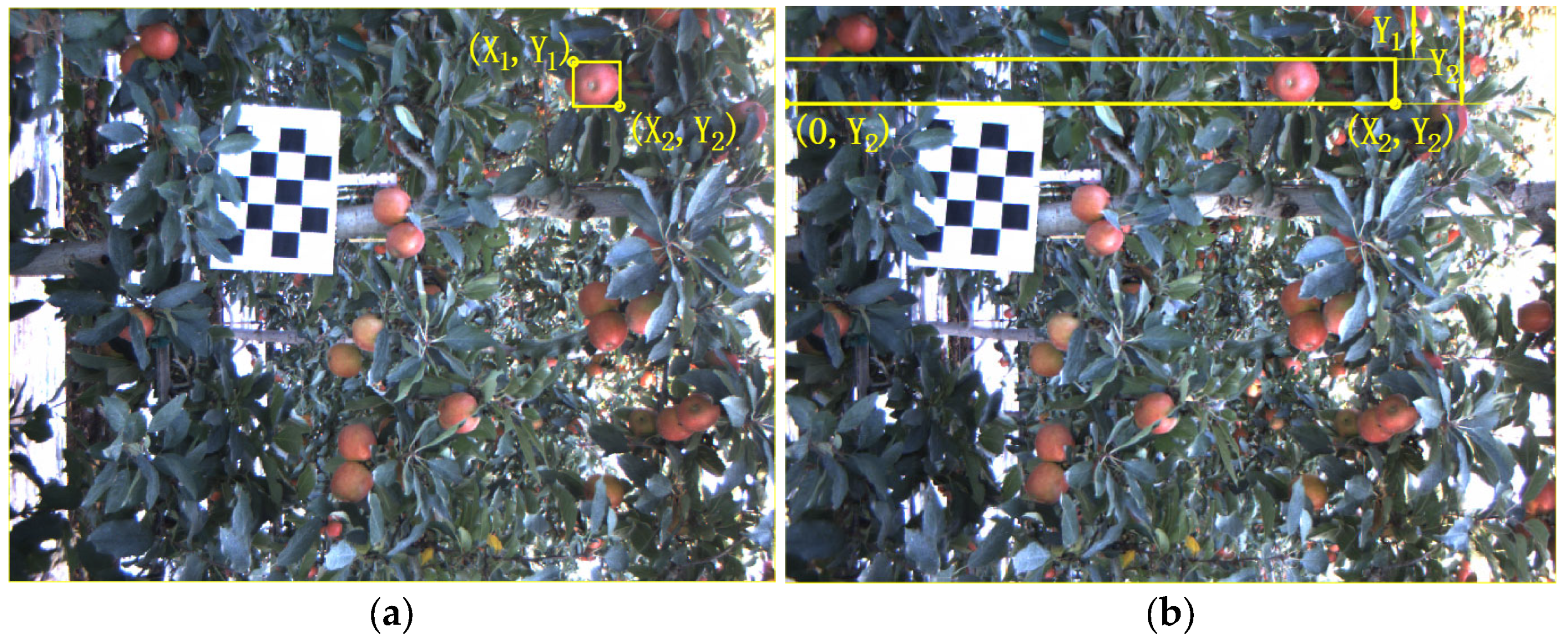 Agronomy 13 01469 g007 Agronomy 13 01469 g007