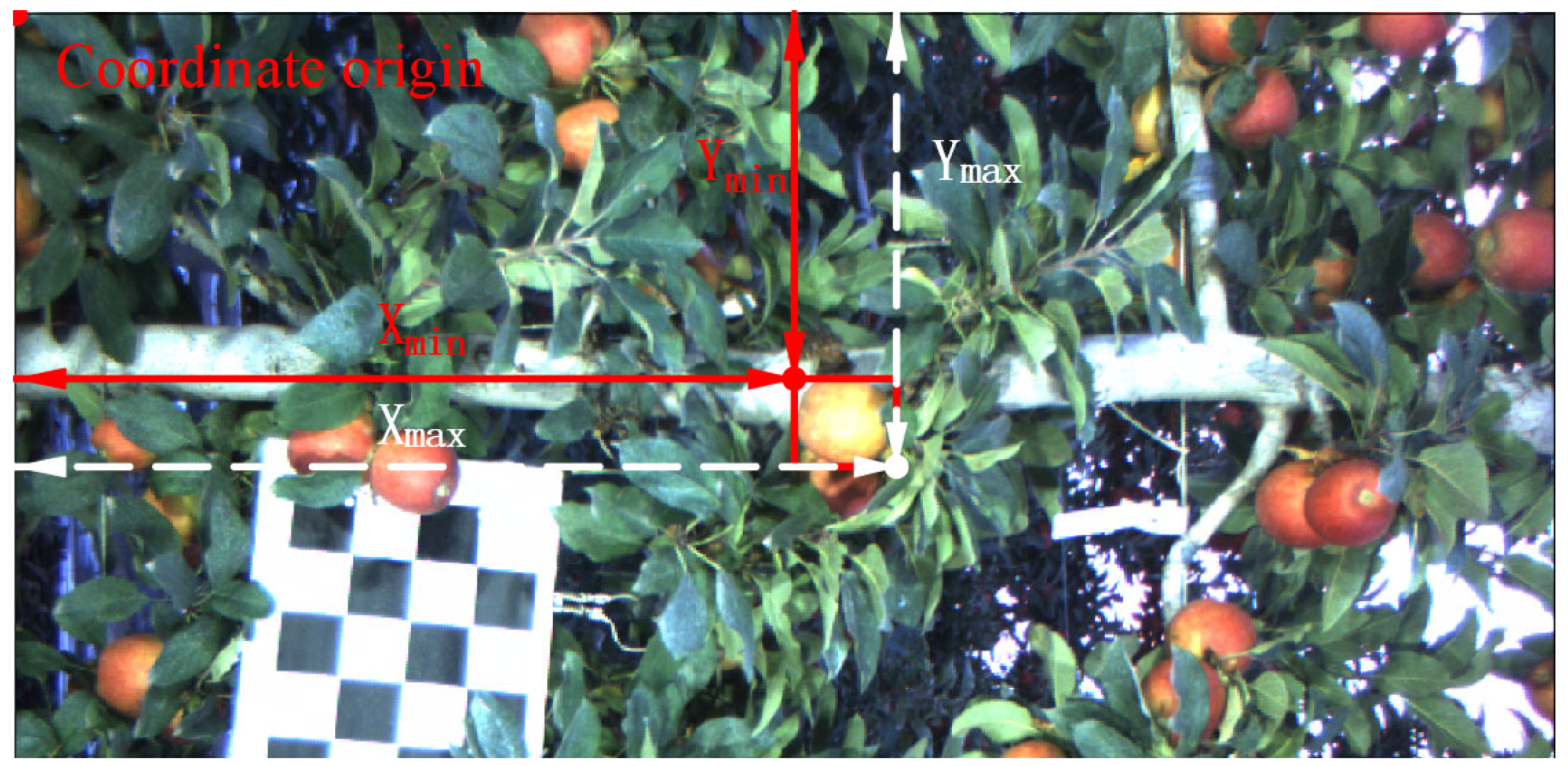 Agronomy 13 01469 g008 Agronomy 13 01469 g008