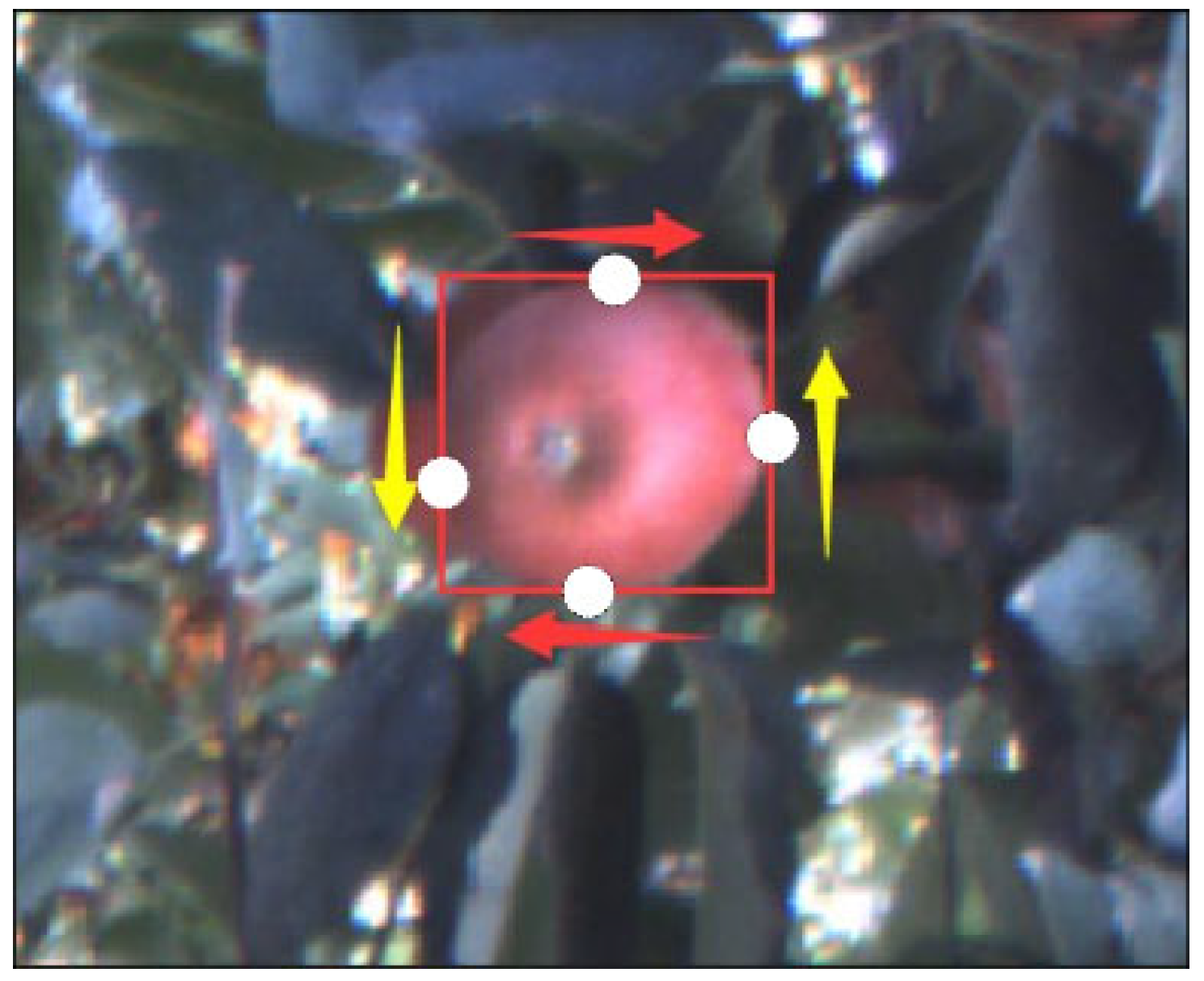 Agronomy 13 01469 g010 Agronomy 13 01469 g010