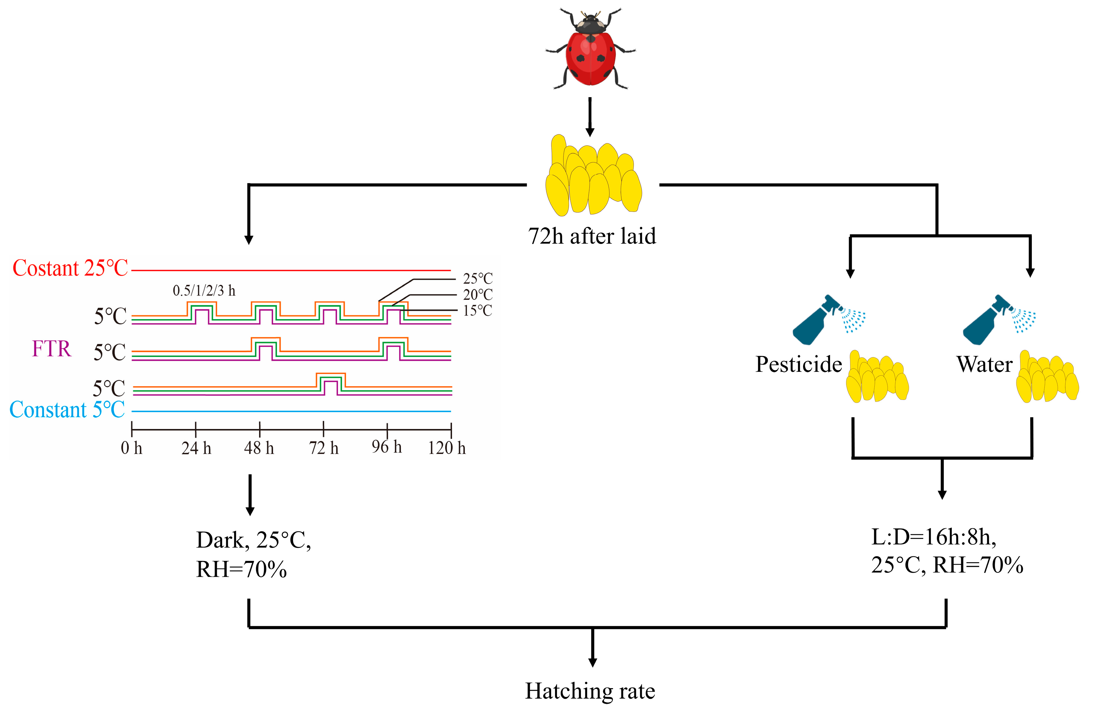 Agronomy 13 01470 g001 Agronomy 13 01470 g001