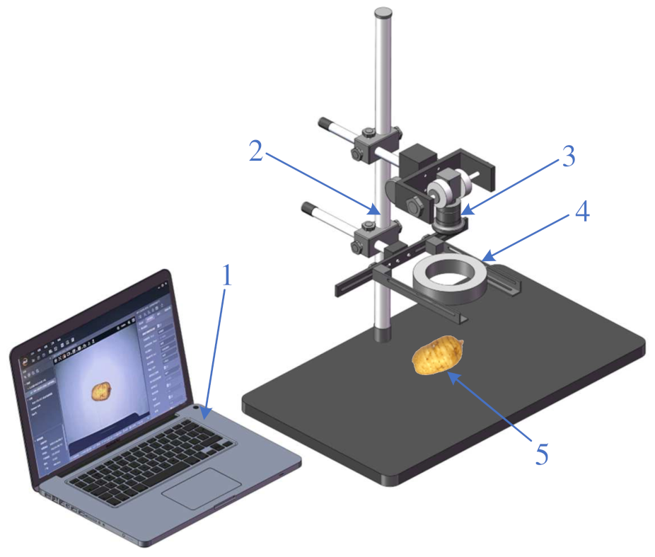 Agronomy 13 01477 g002
