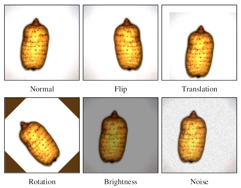Agronomy 13 01477 g003
