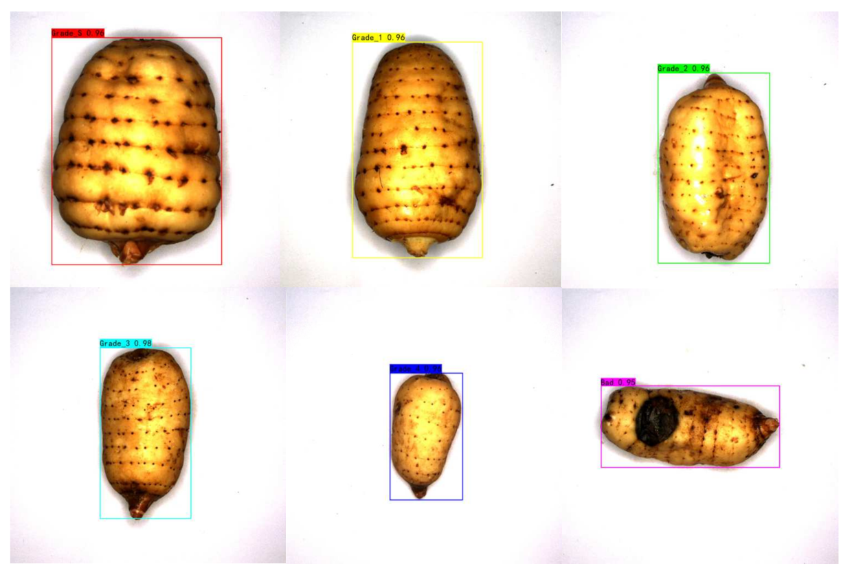 Agronomy 13 01477 g012