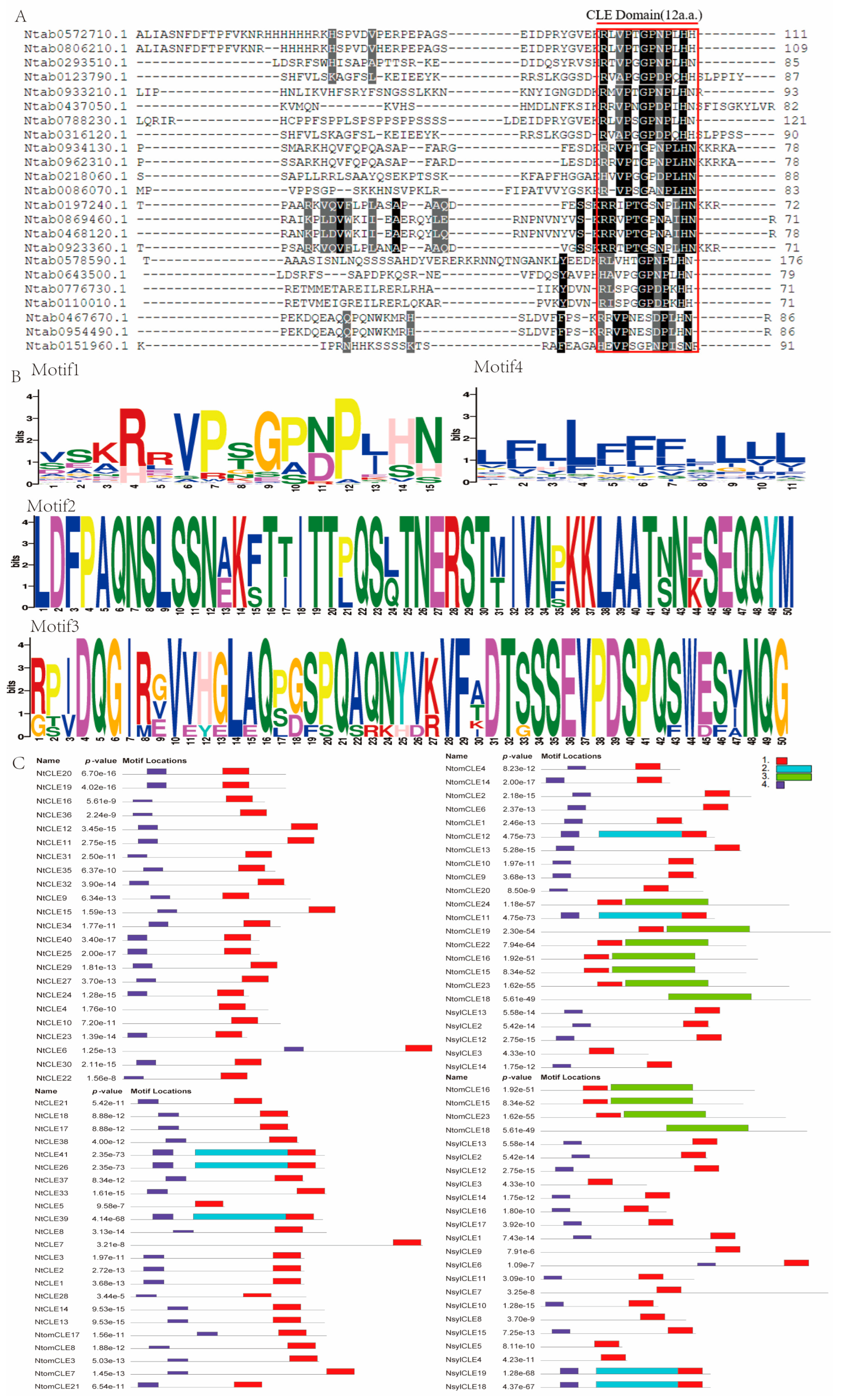 Agronomy 13 01480 g002 Agronomy 13 01480 g002