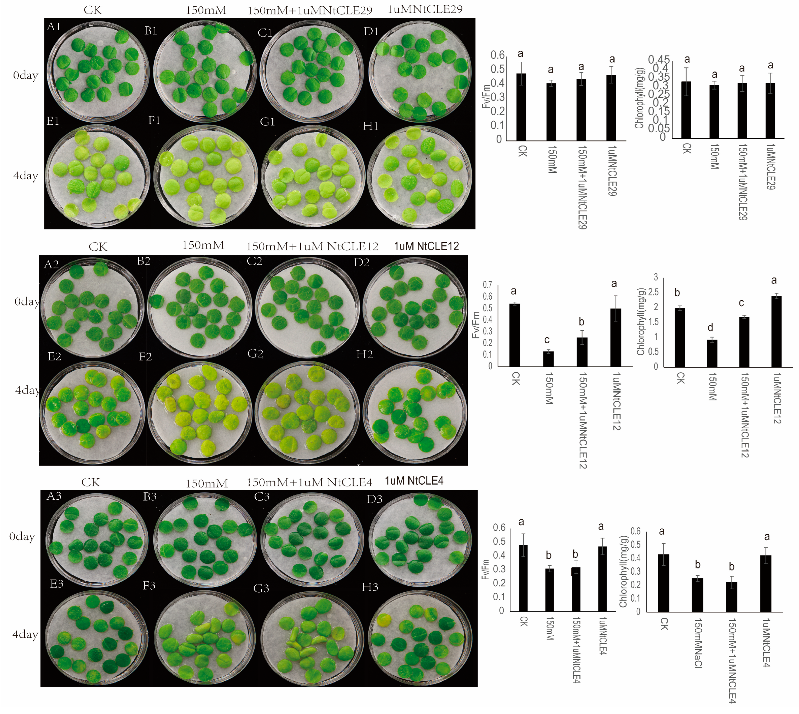 Agronomy 13 01480 g007 Agronomy 13 01480 g007