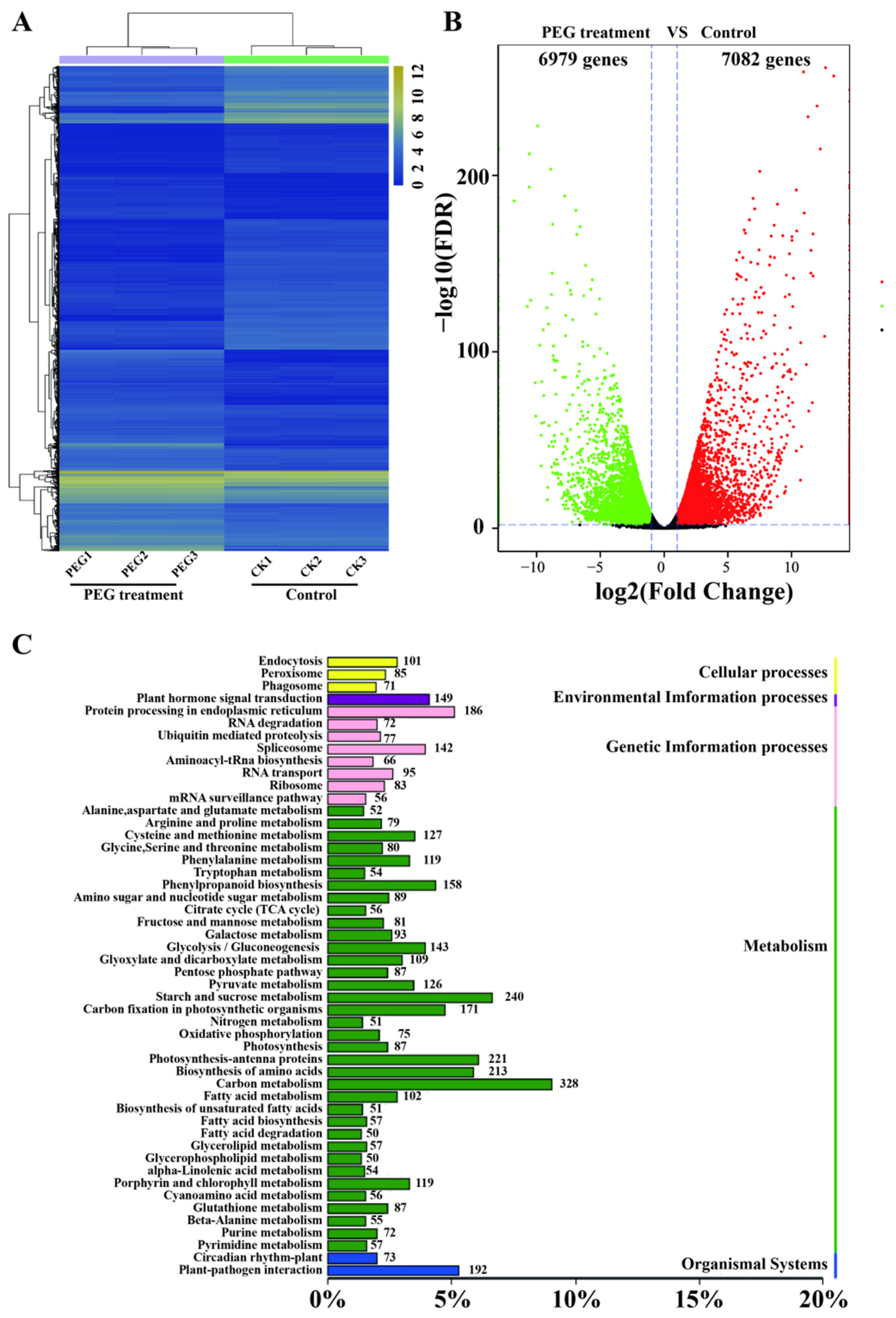 Agronomy 13 01484 g005 Agronomy 13 01484 g005