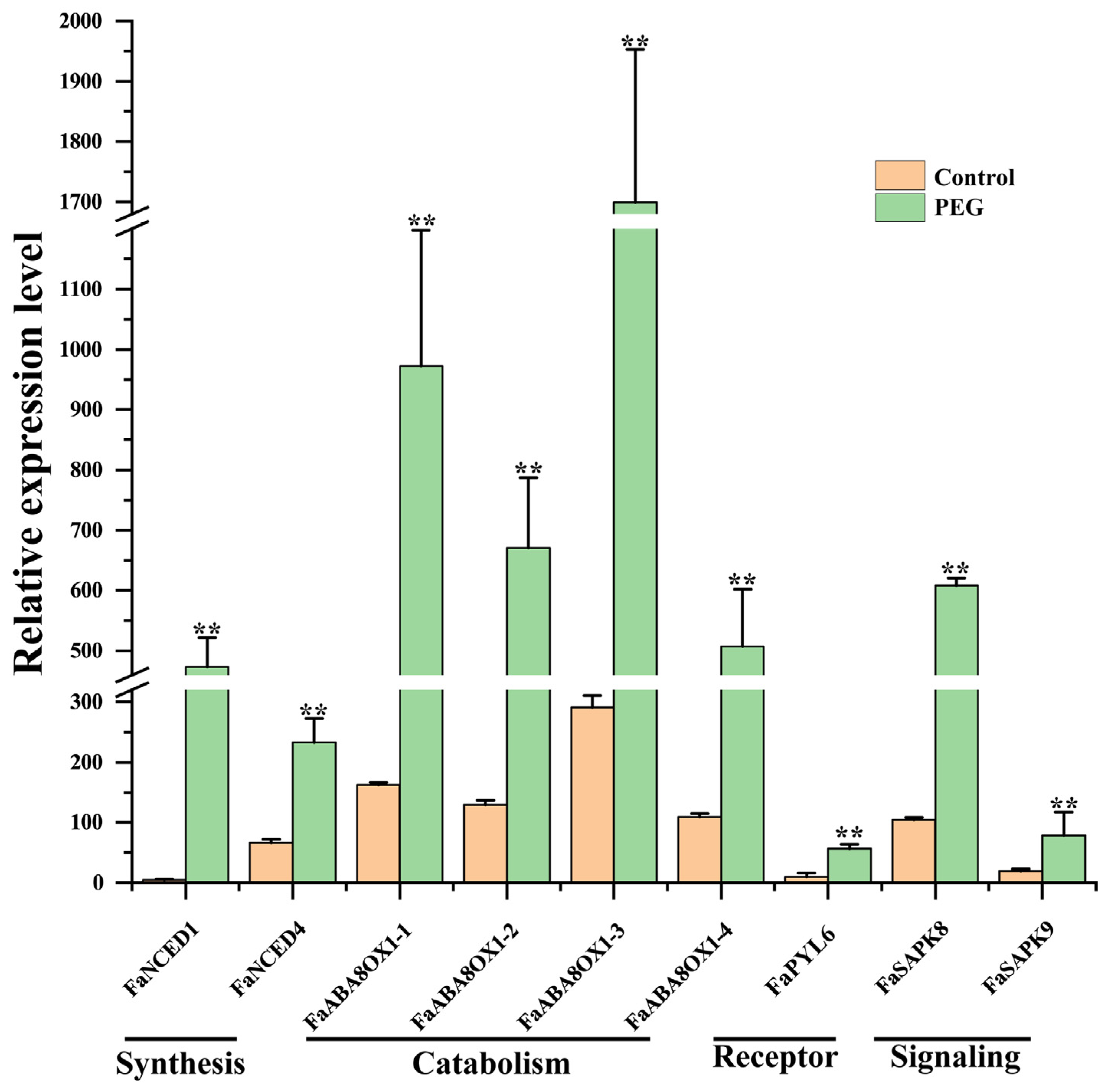 Agronomy 13 01484 g006 Agronomy 13 01484 g006