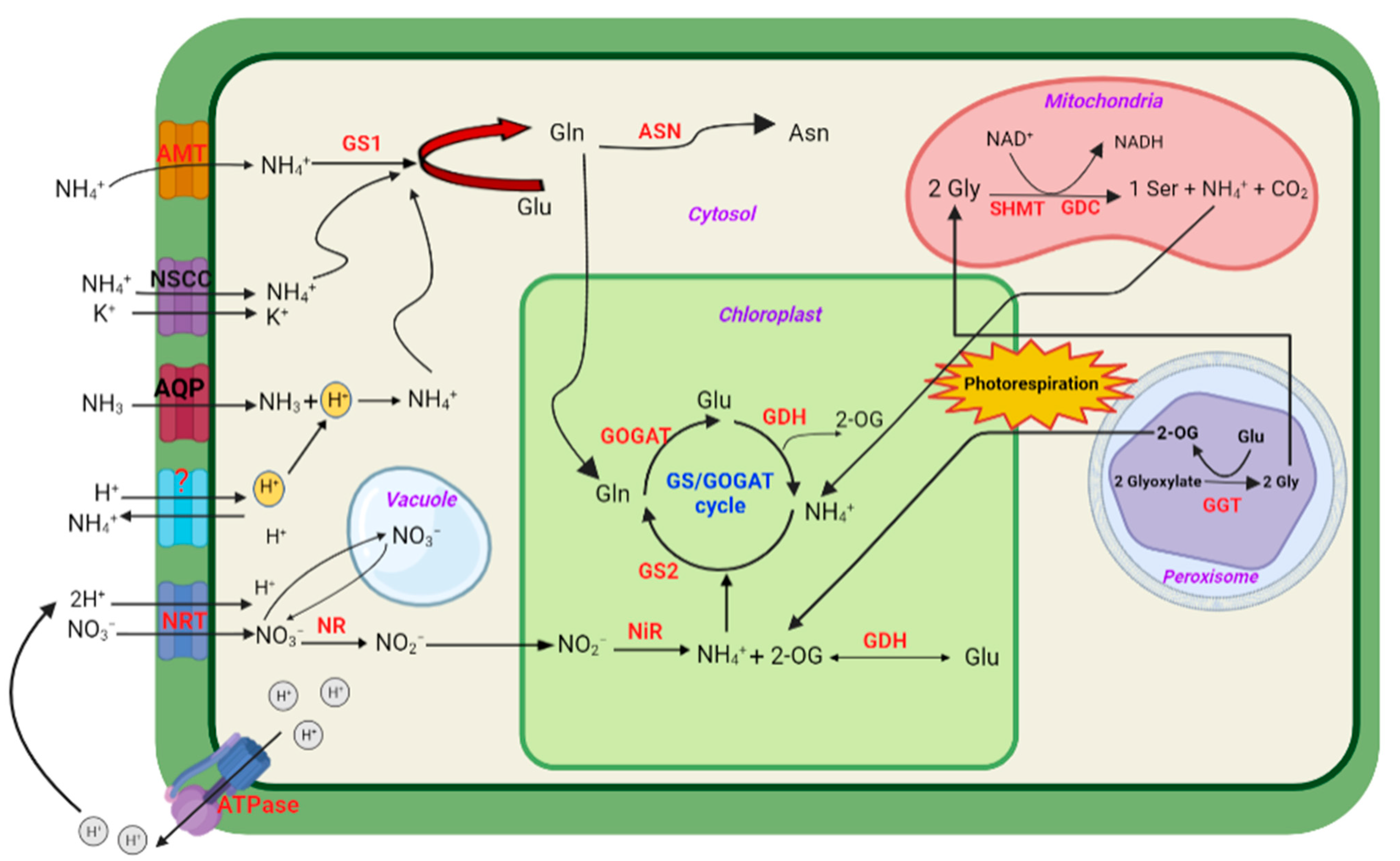 Agronomy 13 01487 g001 Agronomy 13 01487 g001