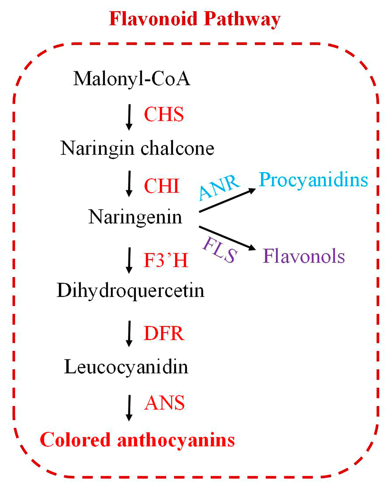 Agronomy 13 01488 g001 Agronomy 13 01488 g001