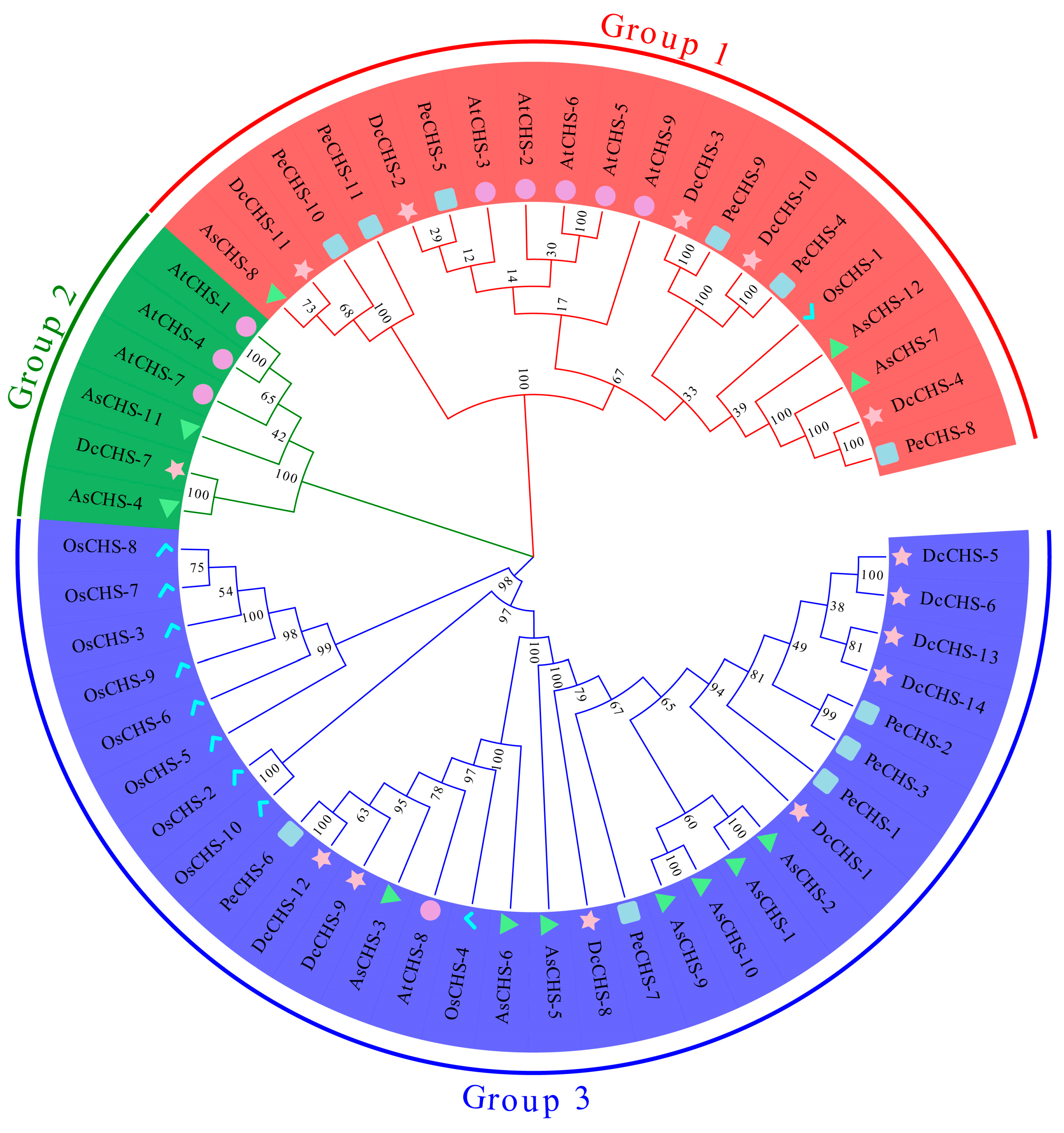 Agronomy 13 01488 g002 Agronomy 13 01488 g002