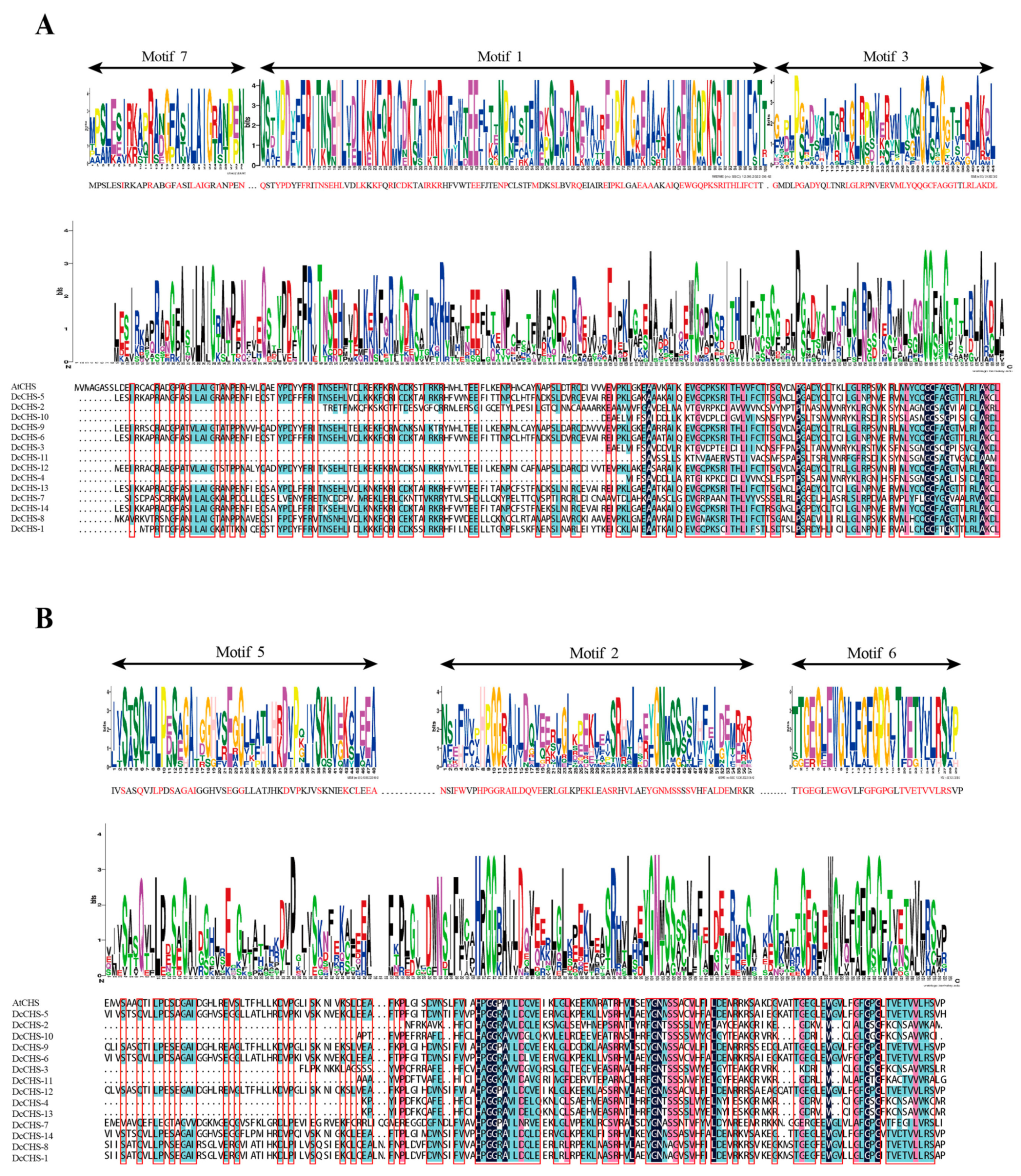 Agronomy 13 01488 g004 Agronomy 13 01488 g004
