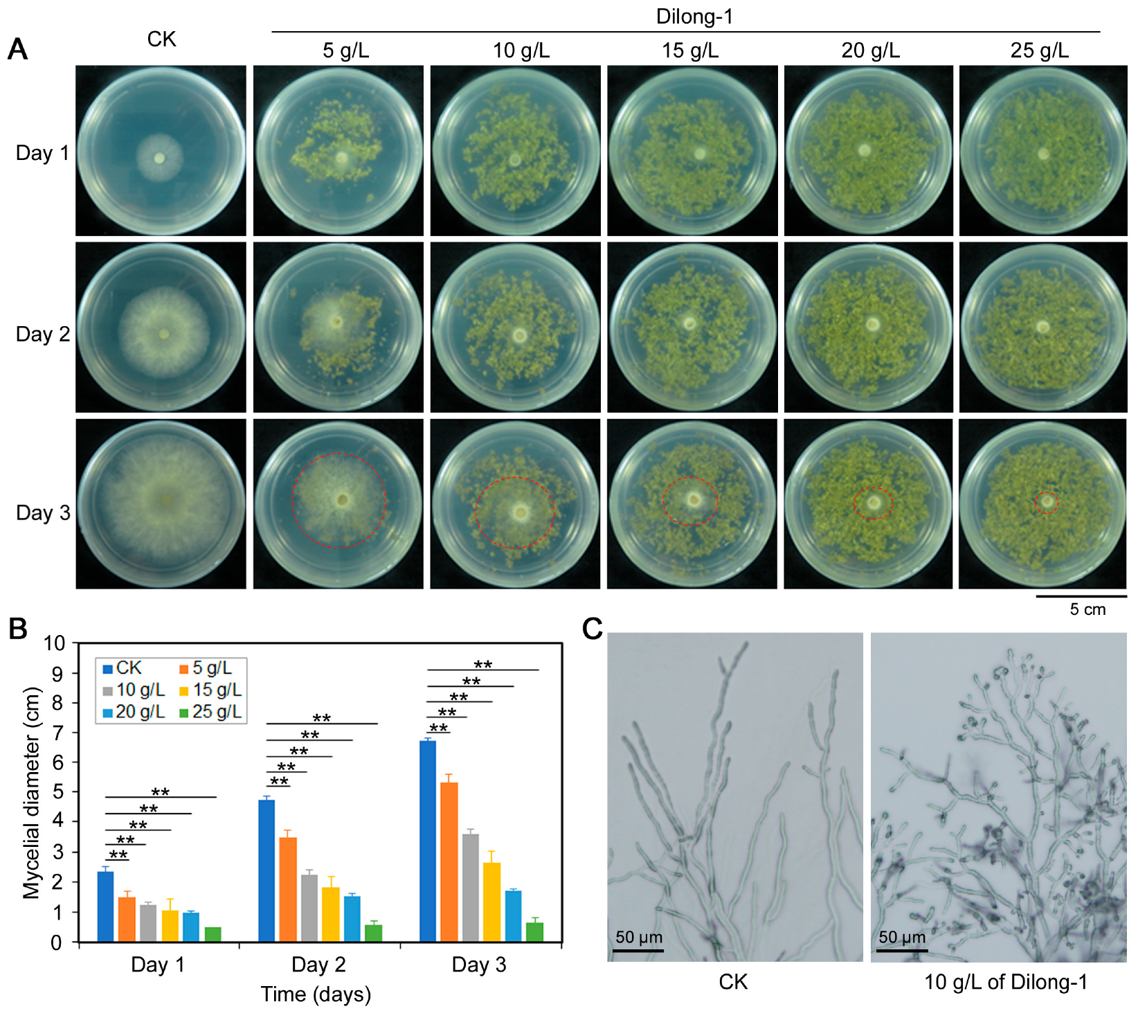 Agronomy 13 01490 g002 Agronomy 13 01490 g002