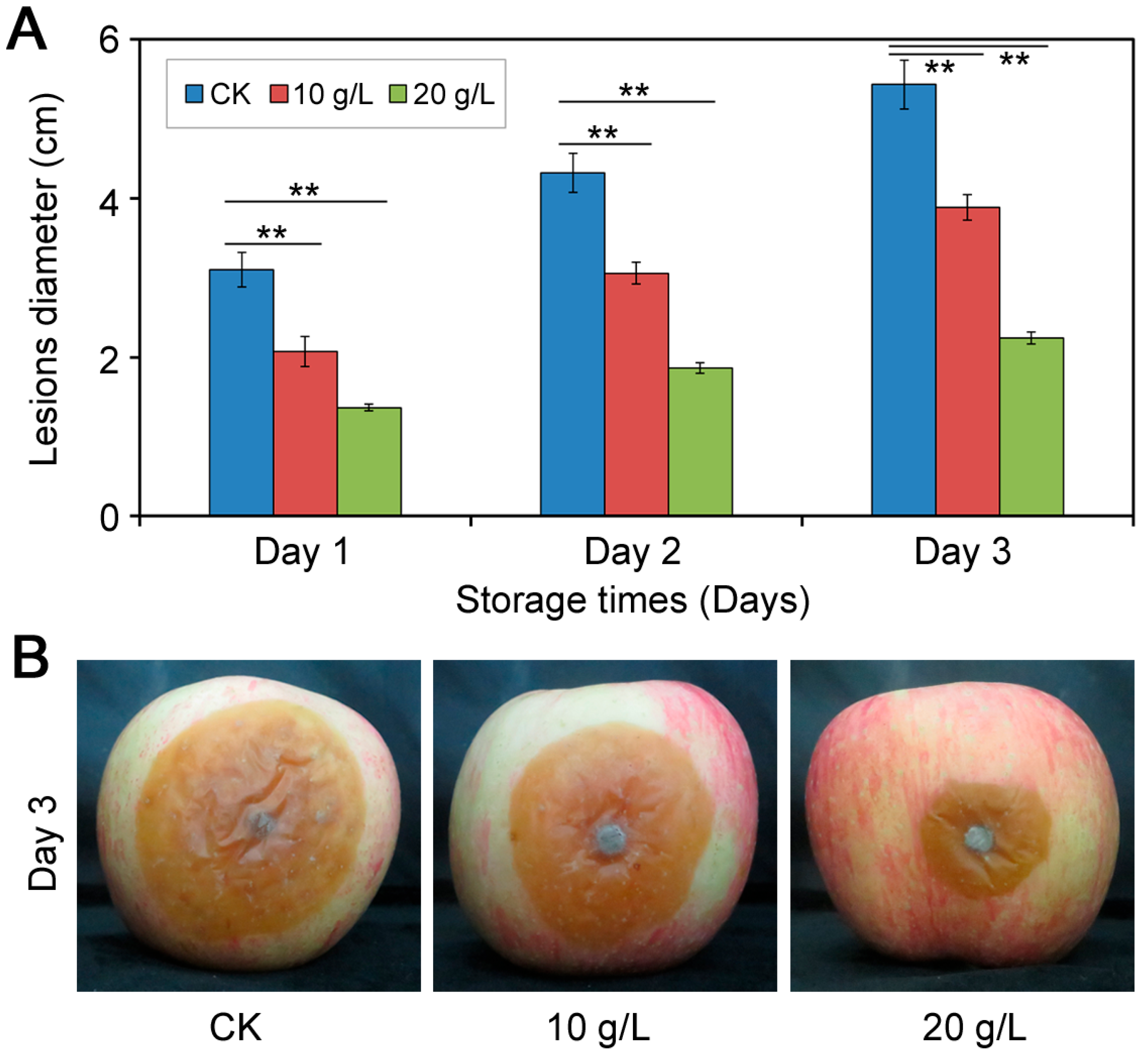 Agronomy 13 01490 g004 Agronomy 13 01490 g004