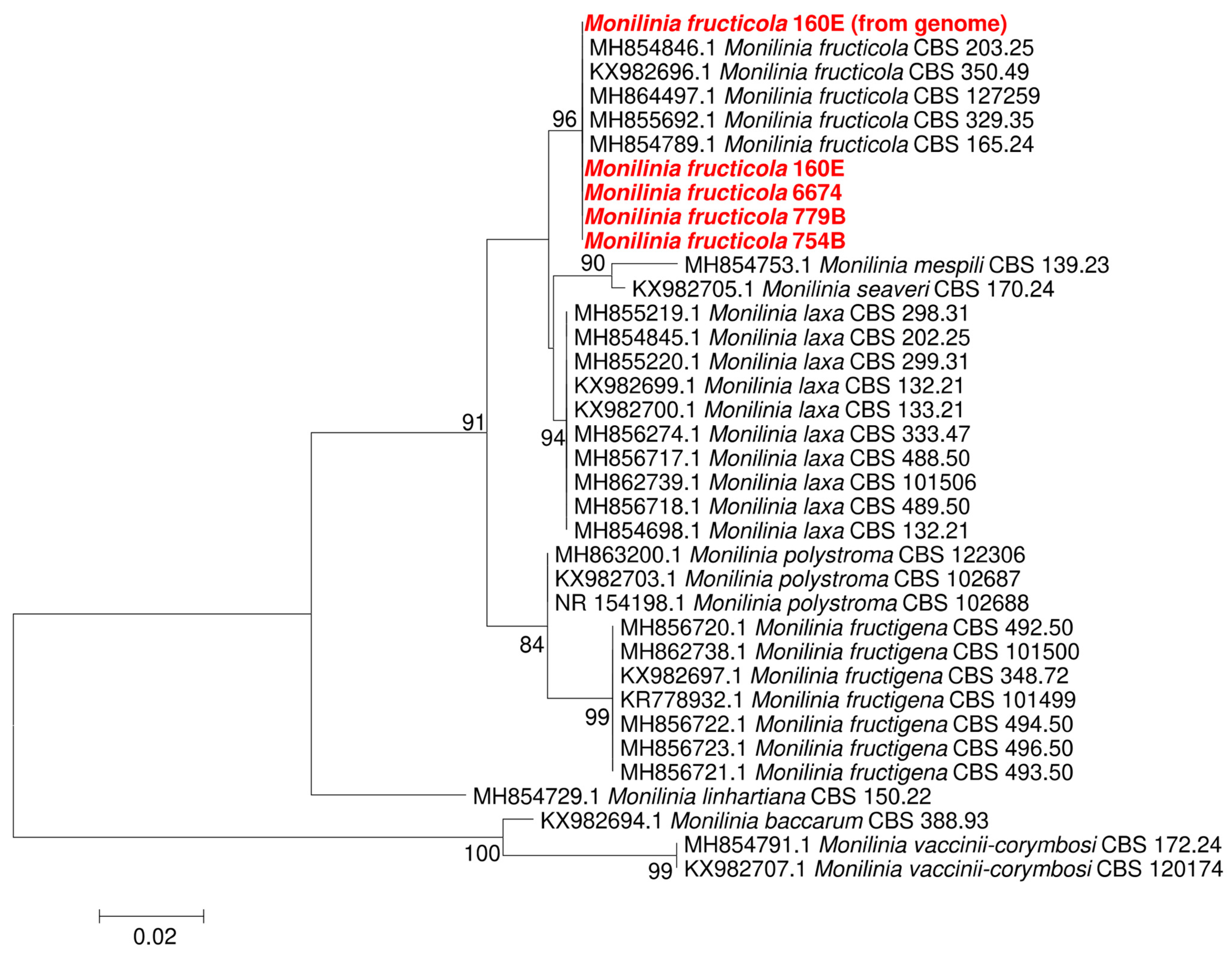 Agronomy 13 01493 g002 Agronomy 13 01493 g002
