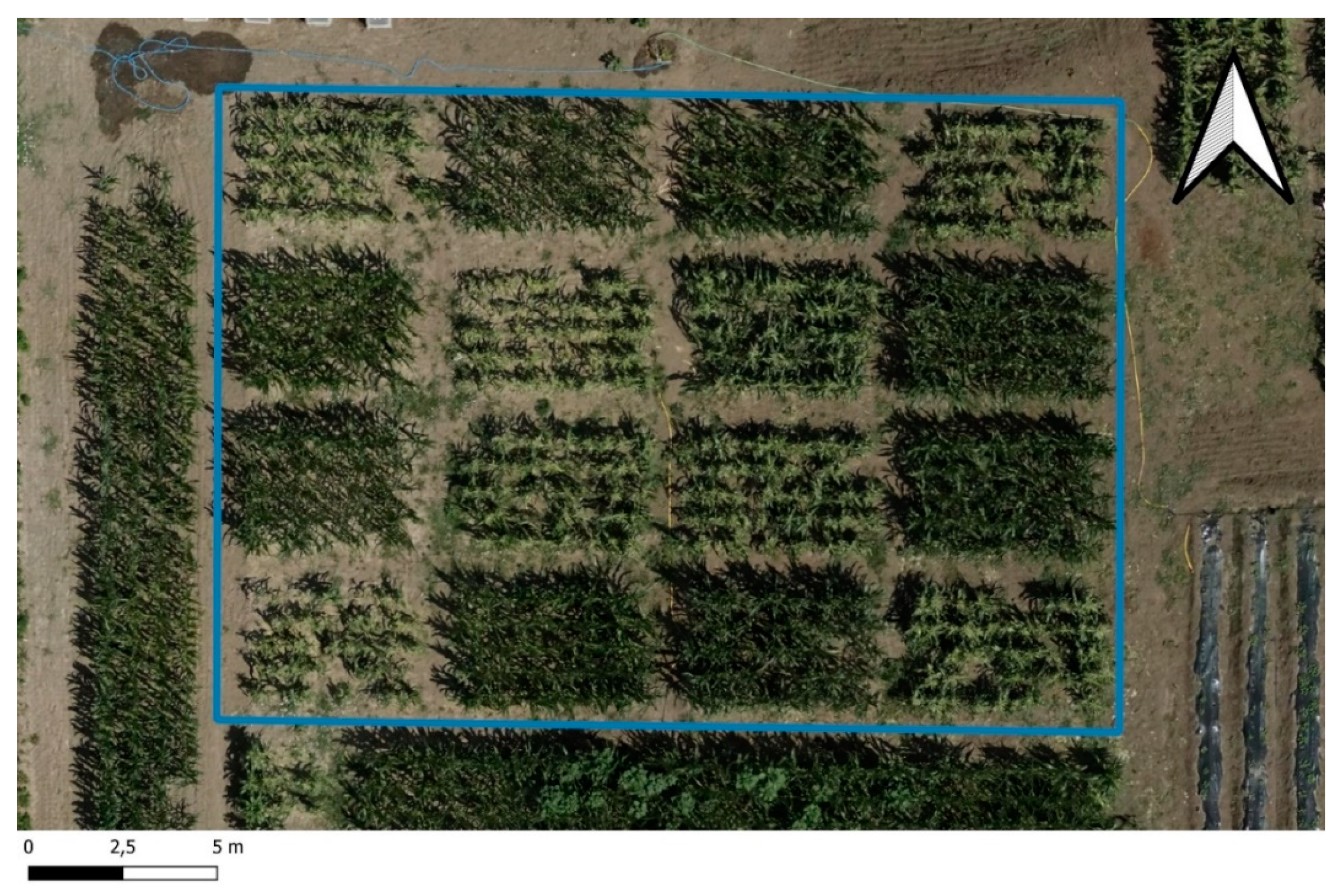 Agronomy 13 01499 g001