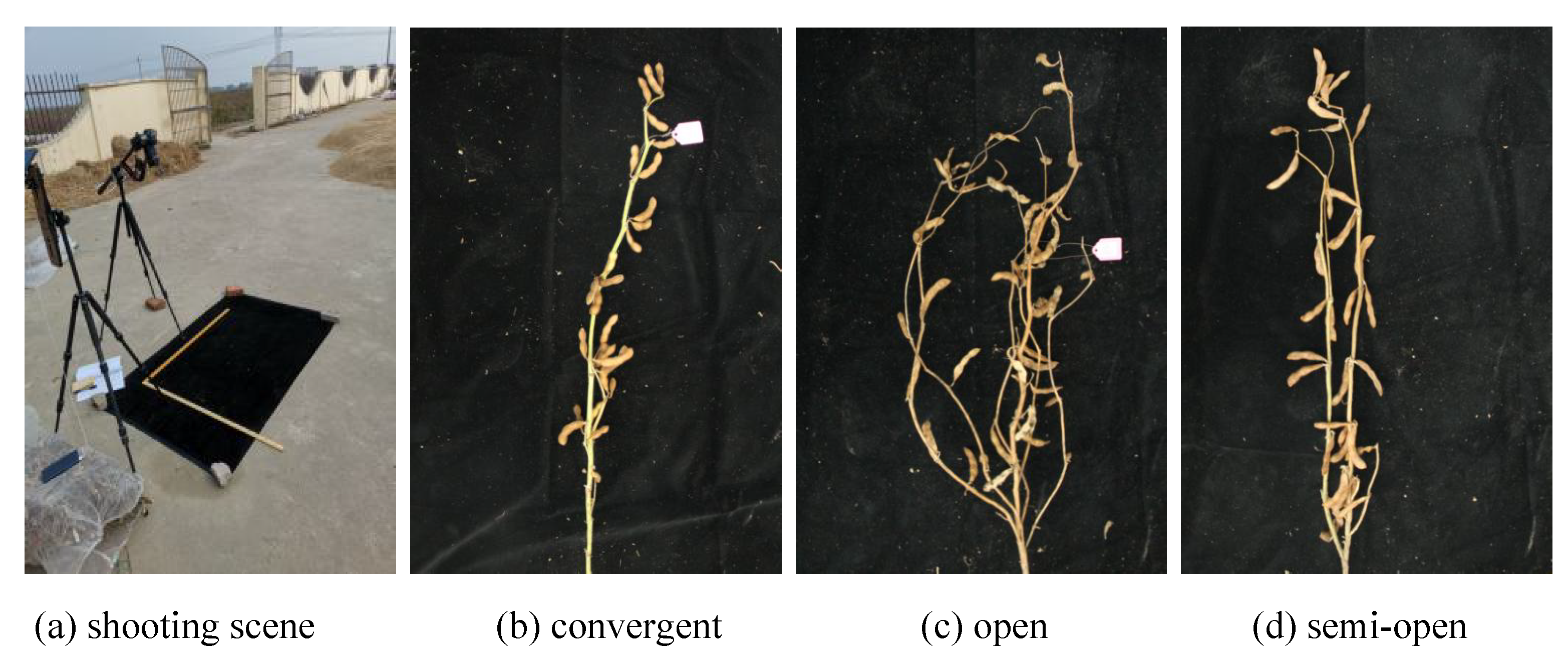 Agronomy 13 01507 g001