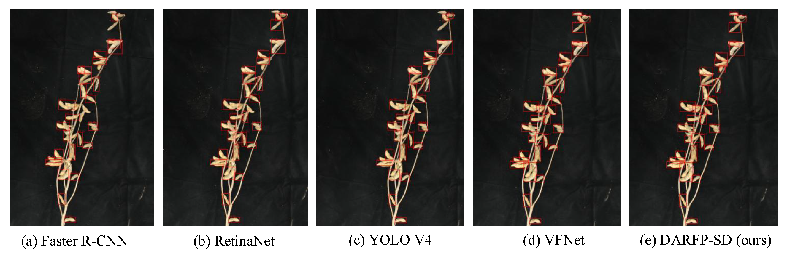 Agronomy 13 01507 g005