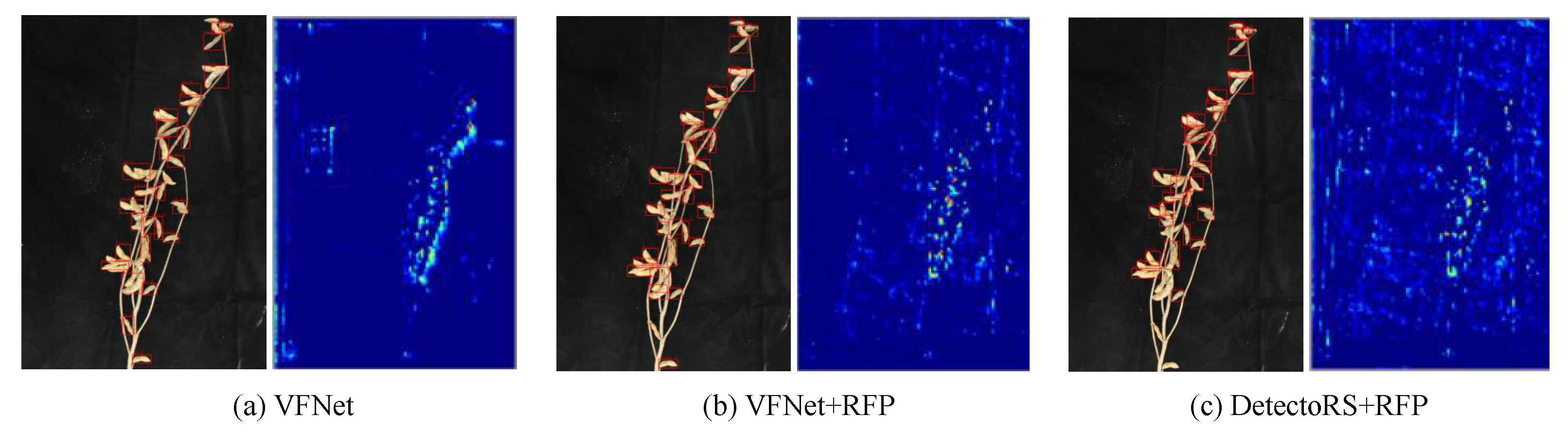 Agronomy 13 01507 g007