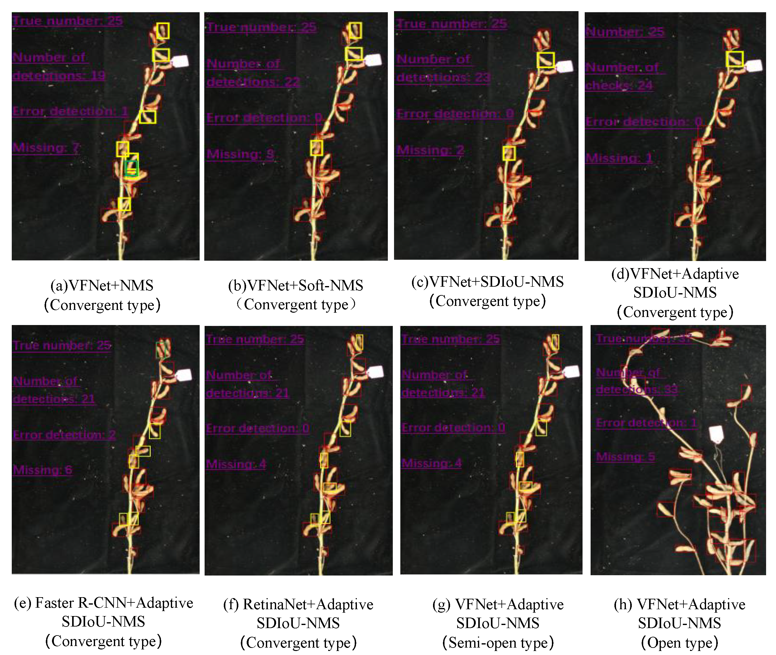 Agronomy 13 01507 g010