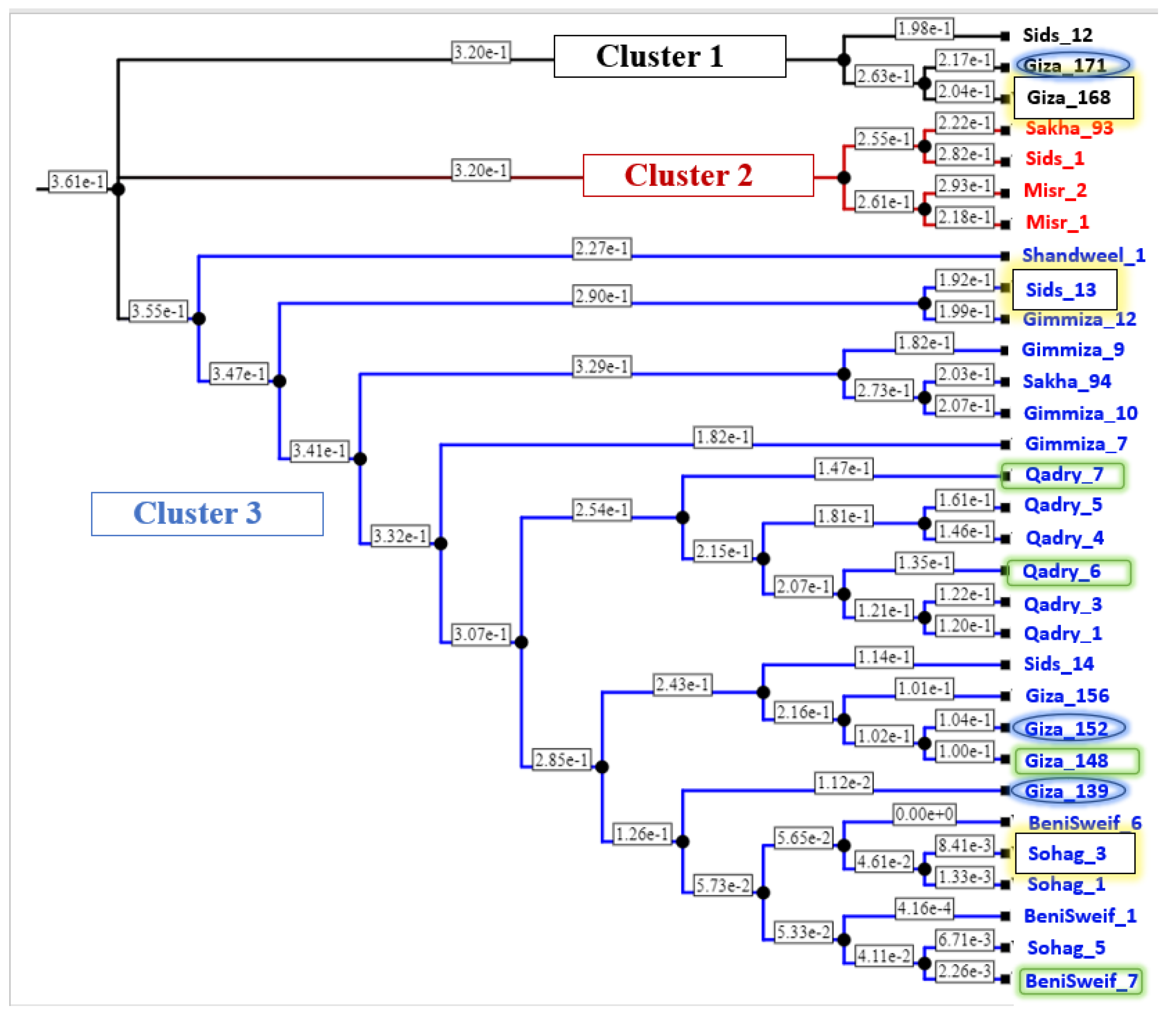 Agronomy 13 01509 g009 Agronomy 13 01509 g009