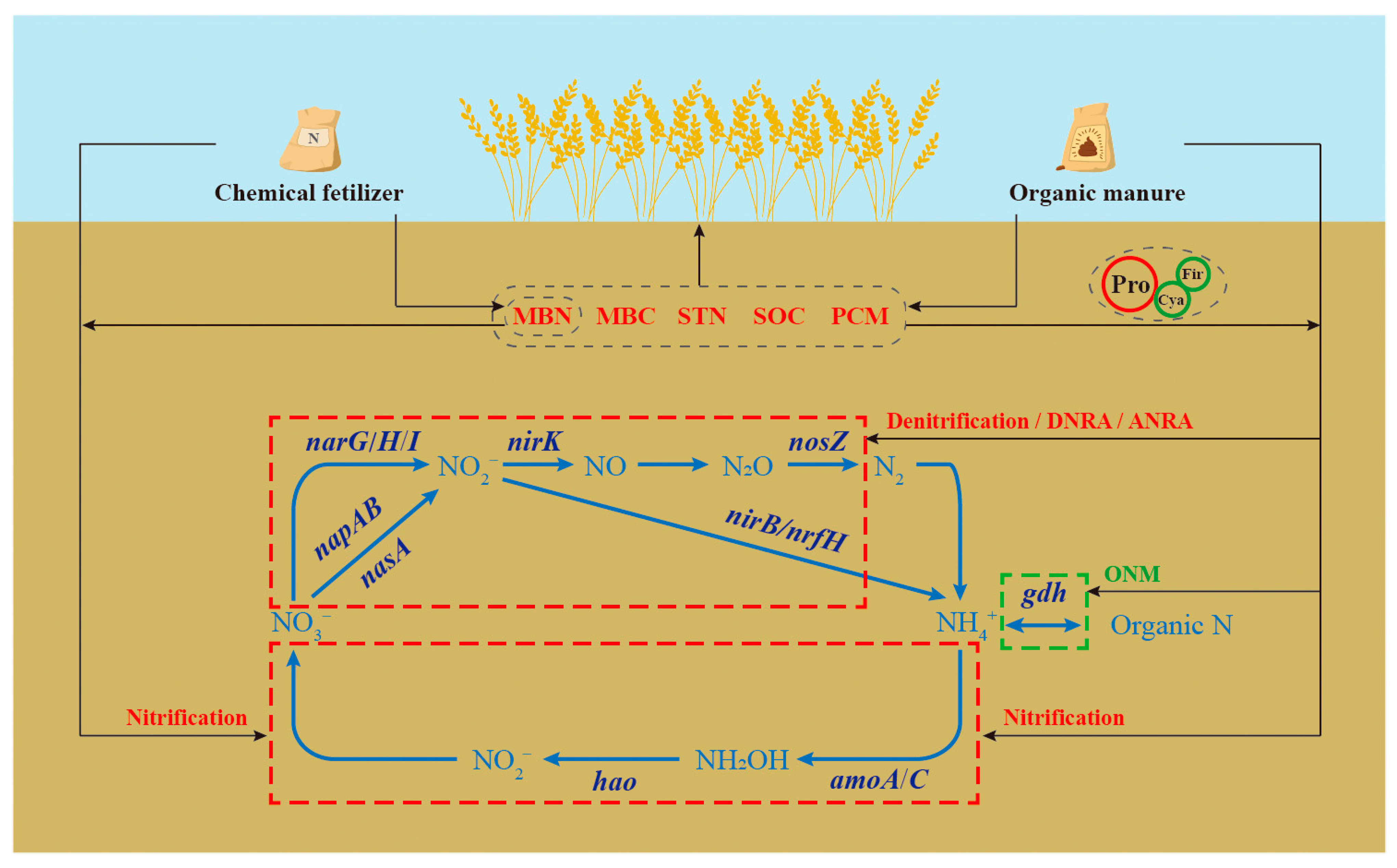 Agronomy 13 01516 g006 Agronomy 13 01516 g006