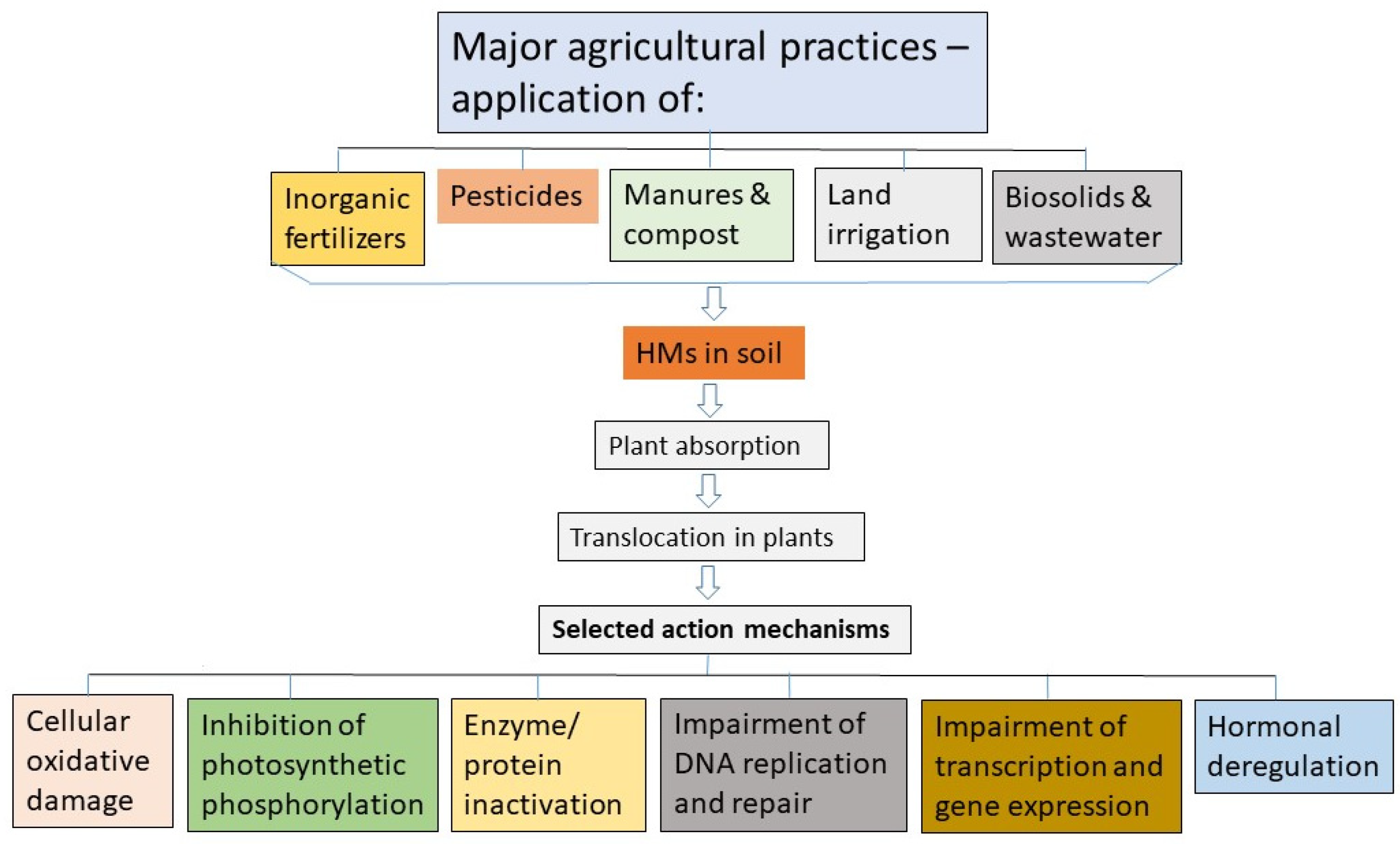 PDF) Heavy metal toxicity and possible Functional aspects of microbial  diversity in heavy metal contaminated sites: Microbial genomics in  sustainable agrosystems