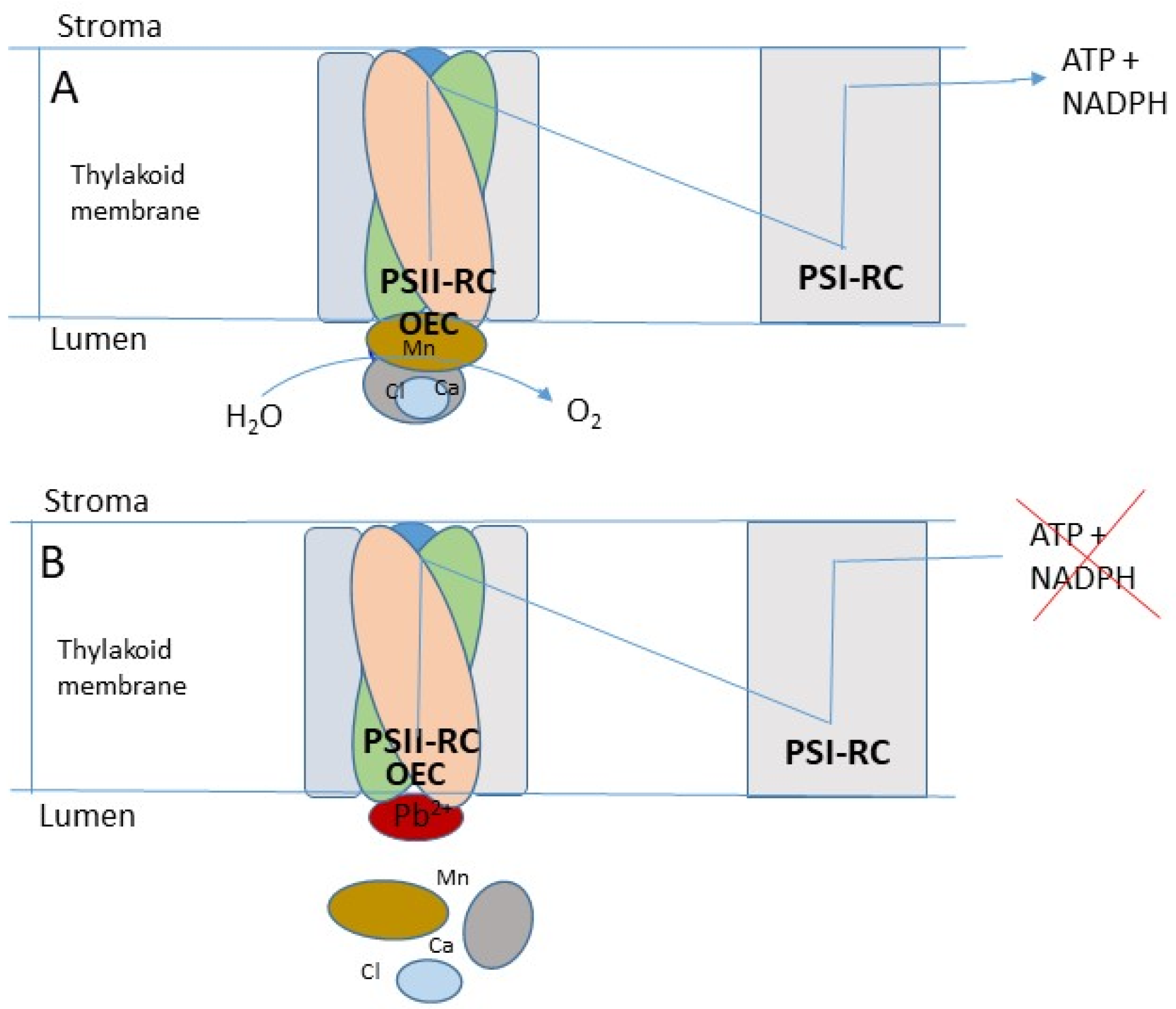 Agronomy 13 01521 g004