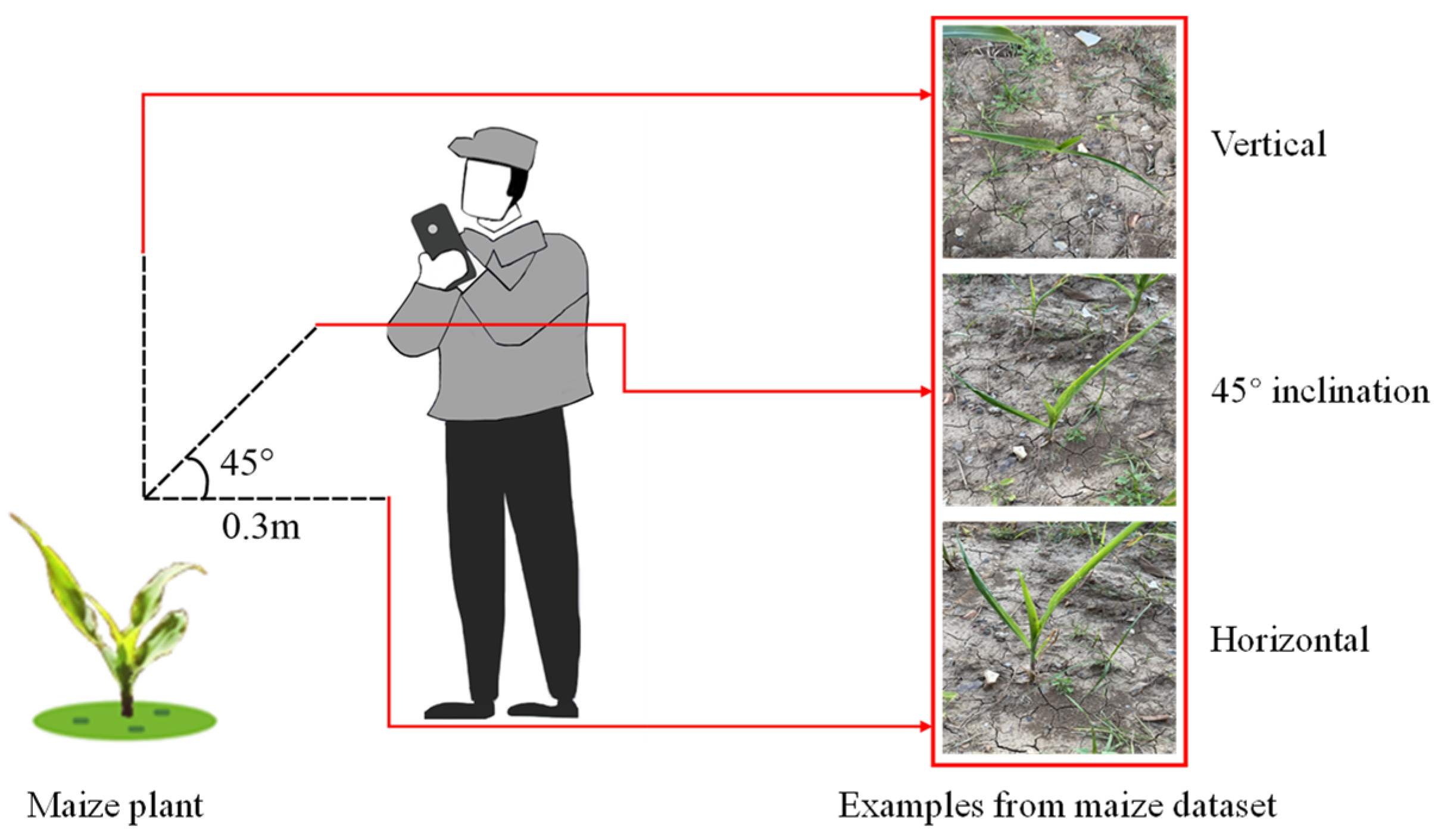 Agronomy 13 01523 g001 Agronomy 13 01523 g001