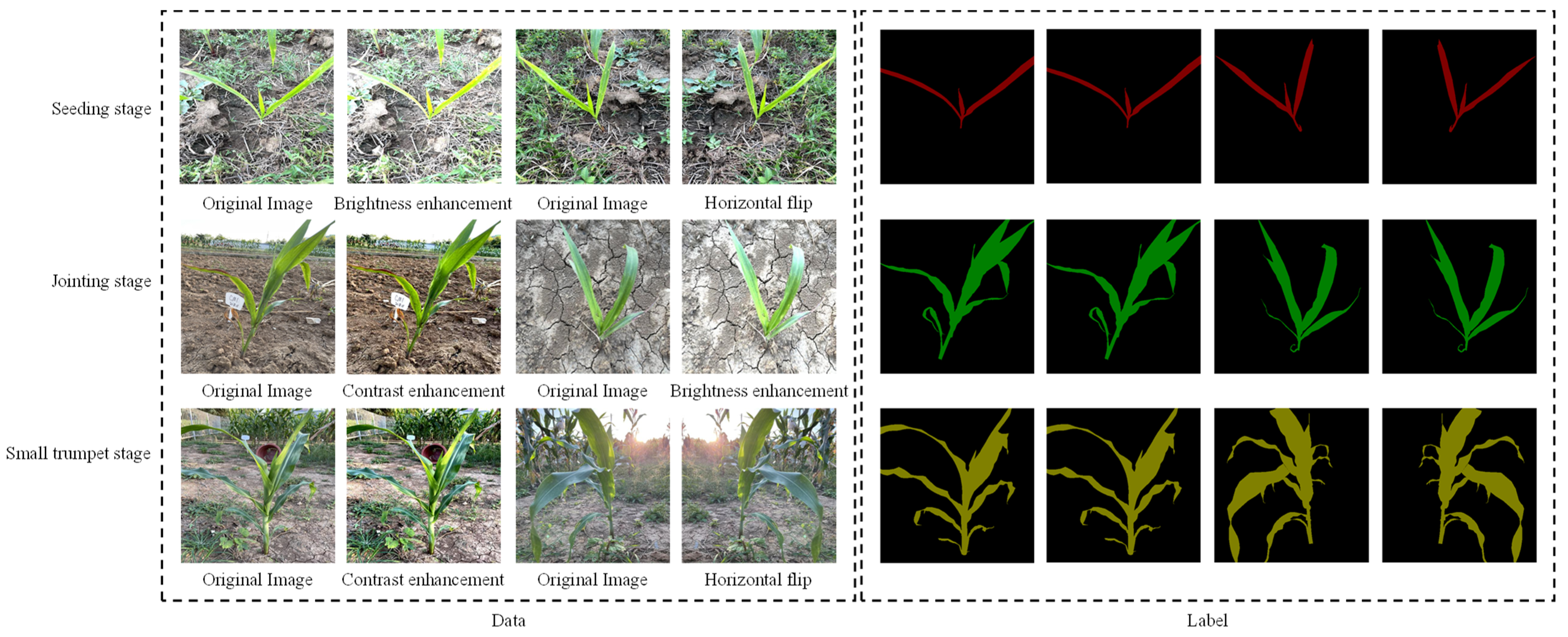 Agronomy 13 01523 g002 Agronomy 13 01523 g002