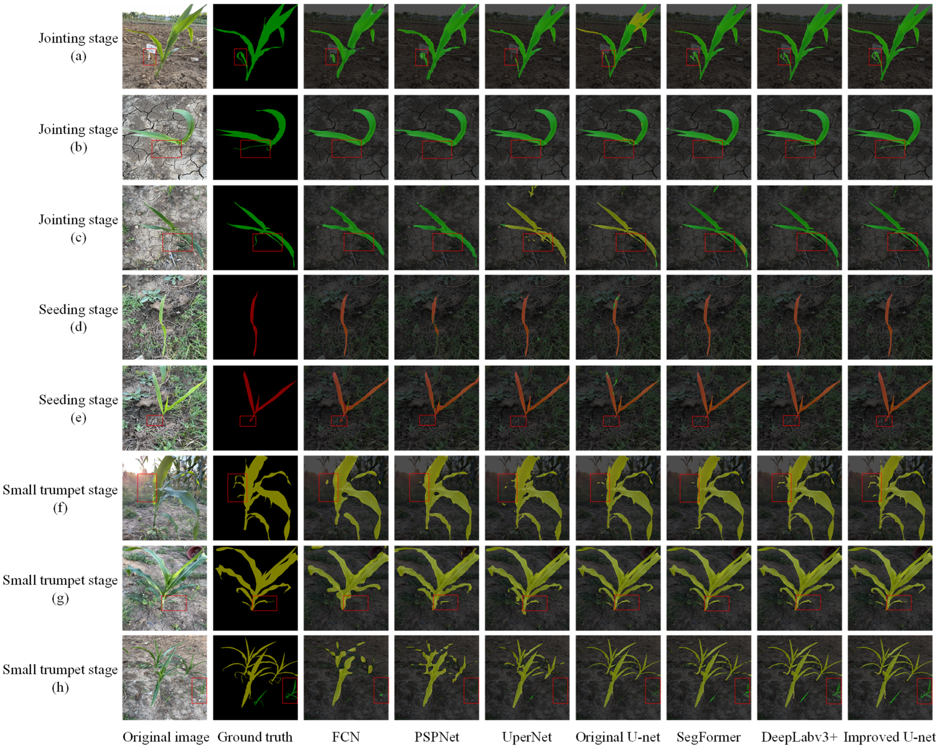 Agronomy 13 01523 g012 Agronomy 13 01523 g012