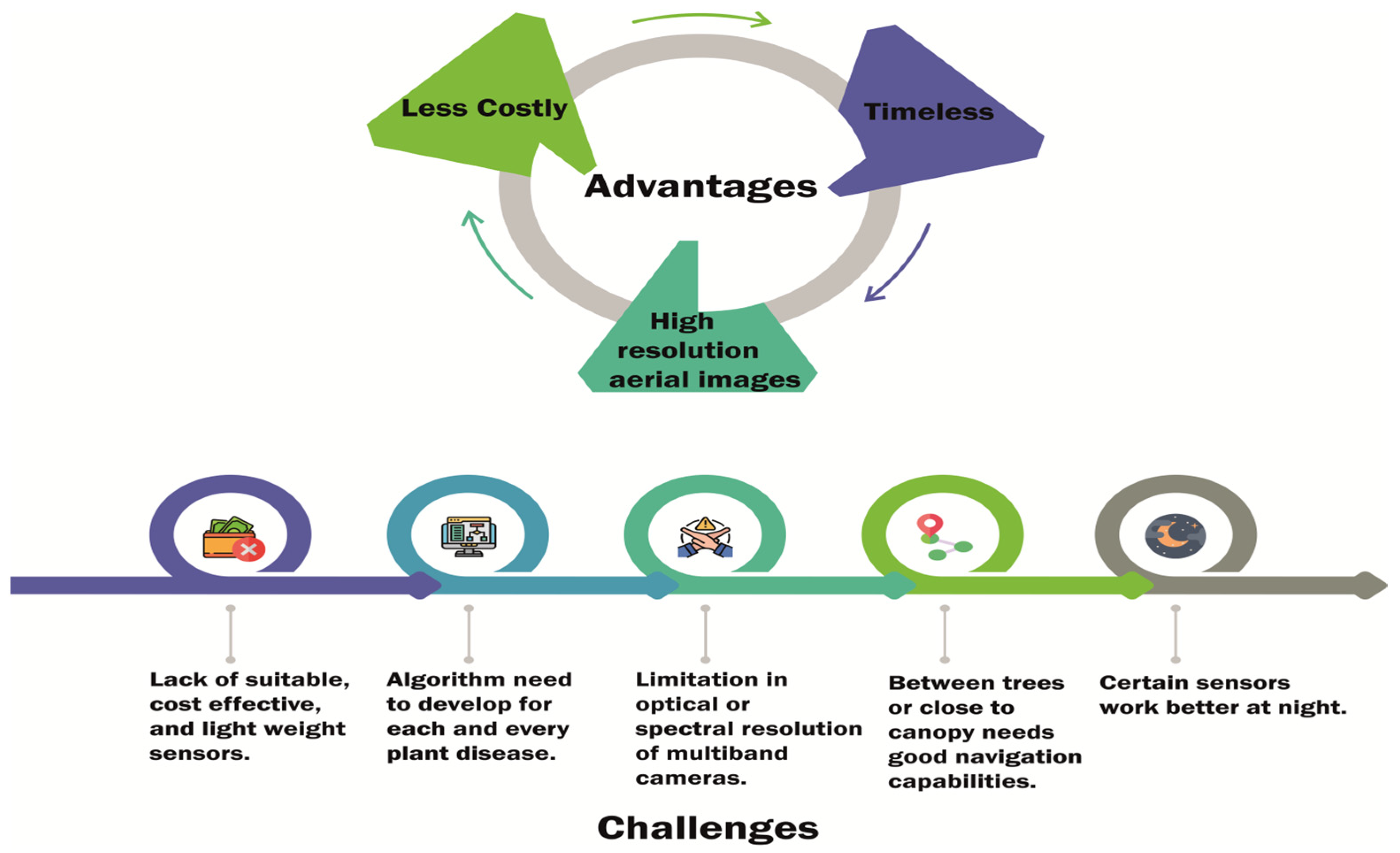 Agronomy 13 01524 g002 Agronomy 13 01524 g002