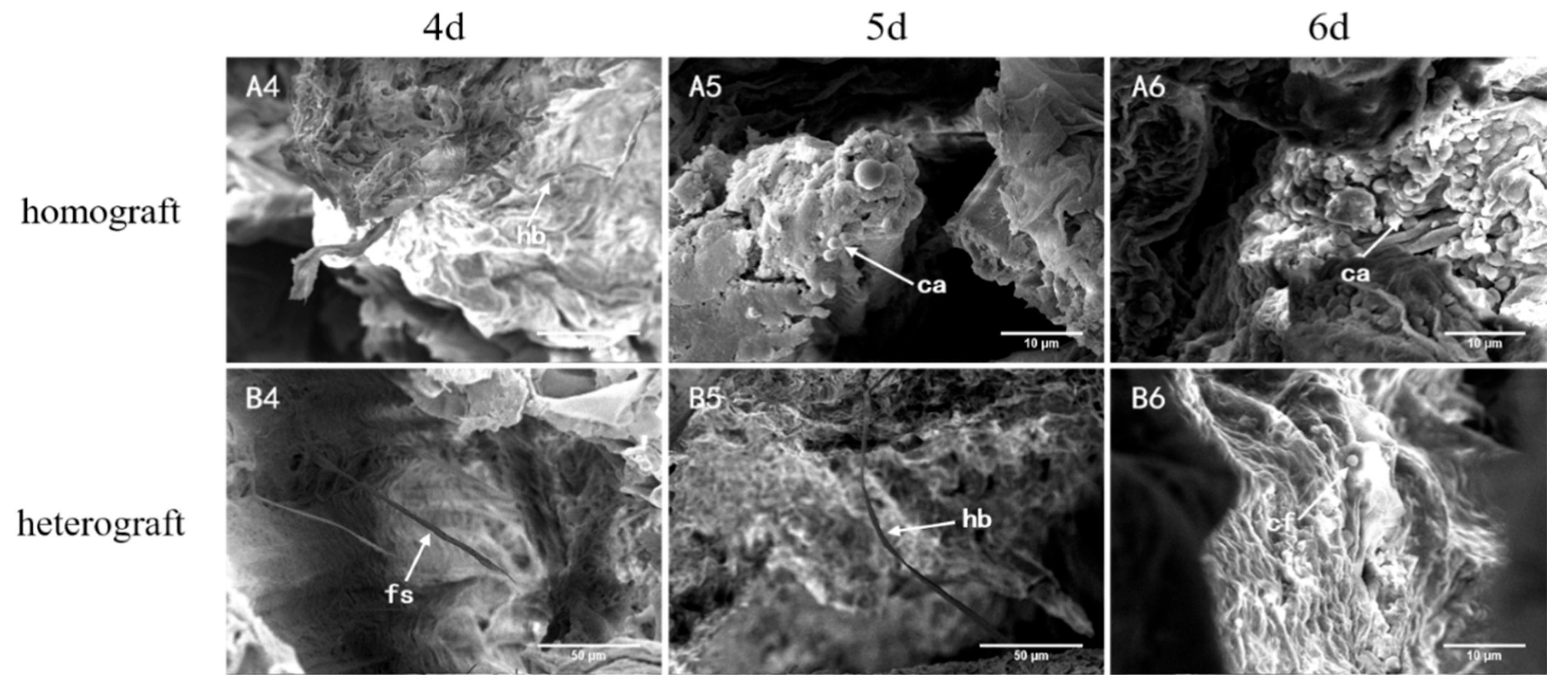 Agronomy 13 01527 g003 Agronomy 13 01527 g003