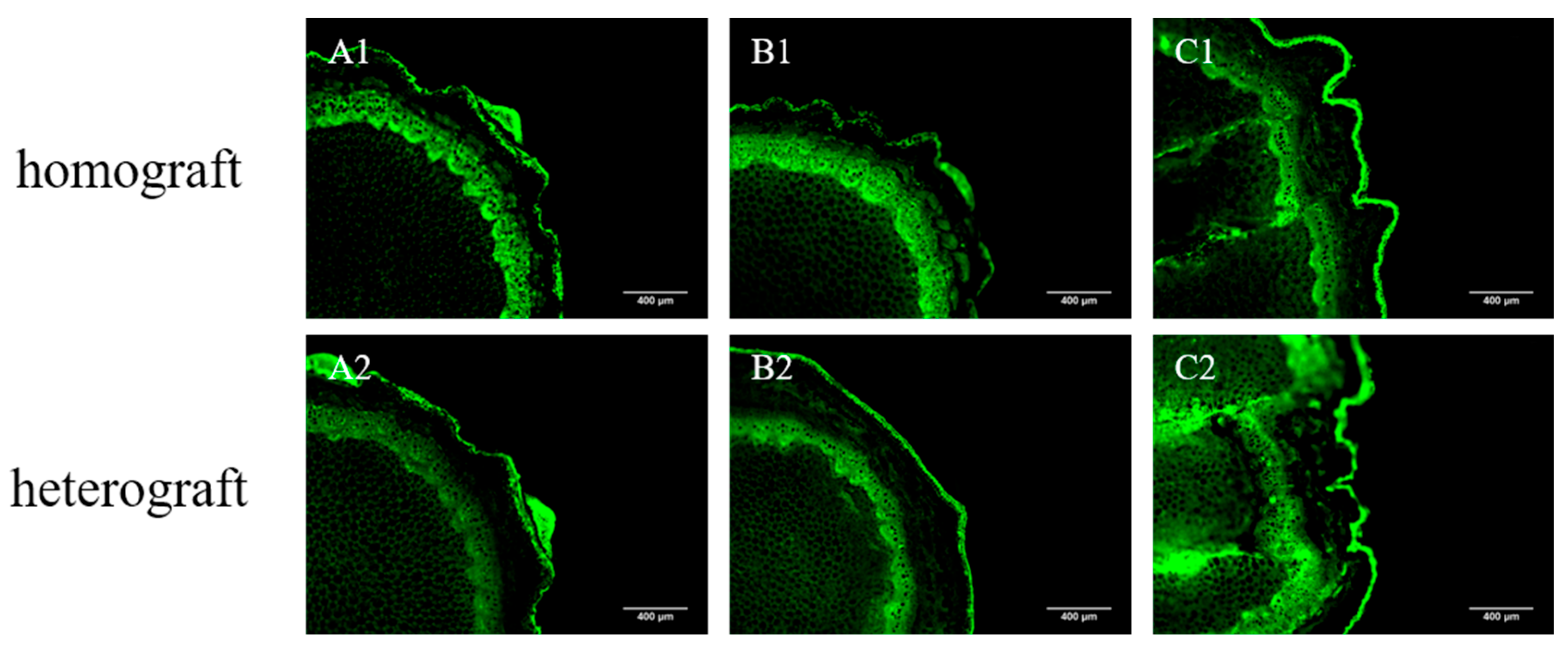 Agronomy 13 01527 g006 Agronomy 13 01527 g006
