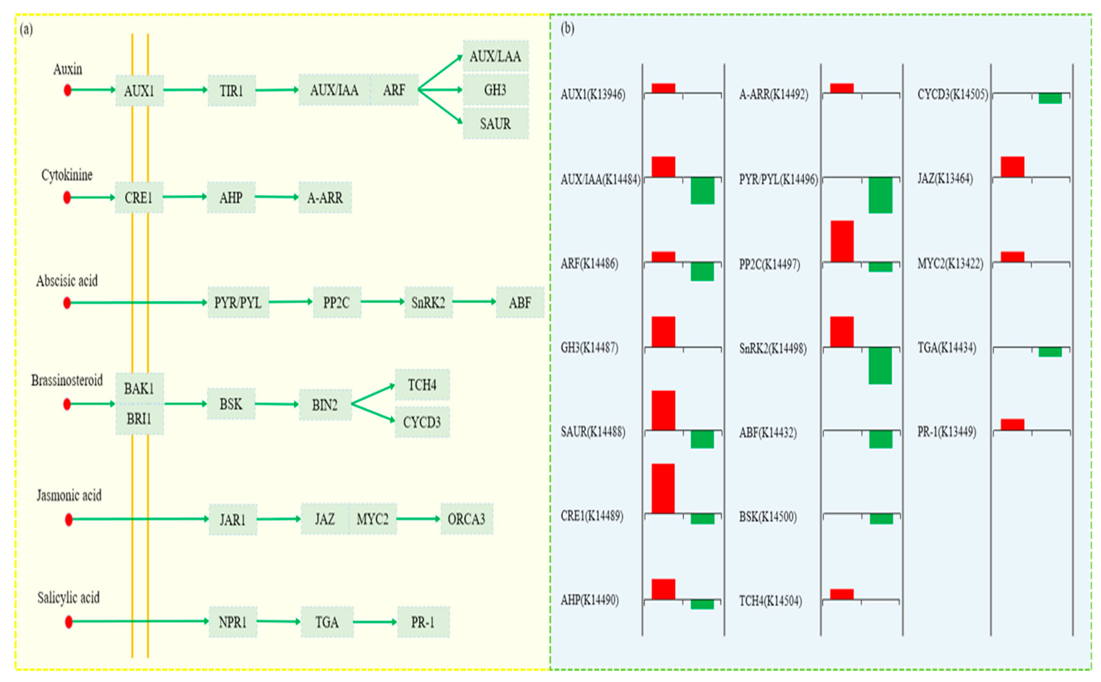 Agronomy 13 01527 g009 Agronomy 13 01527 g009
