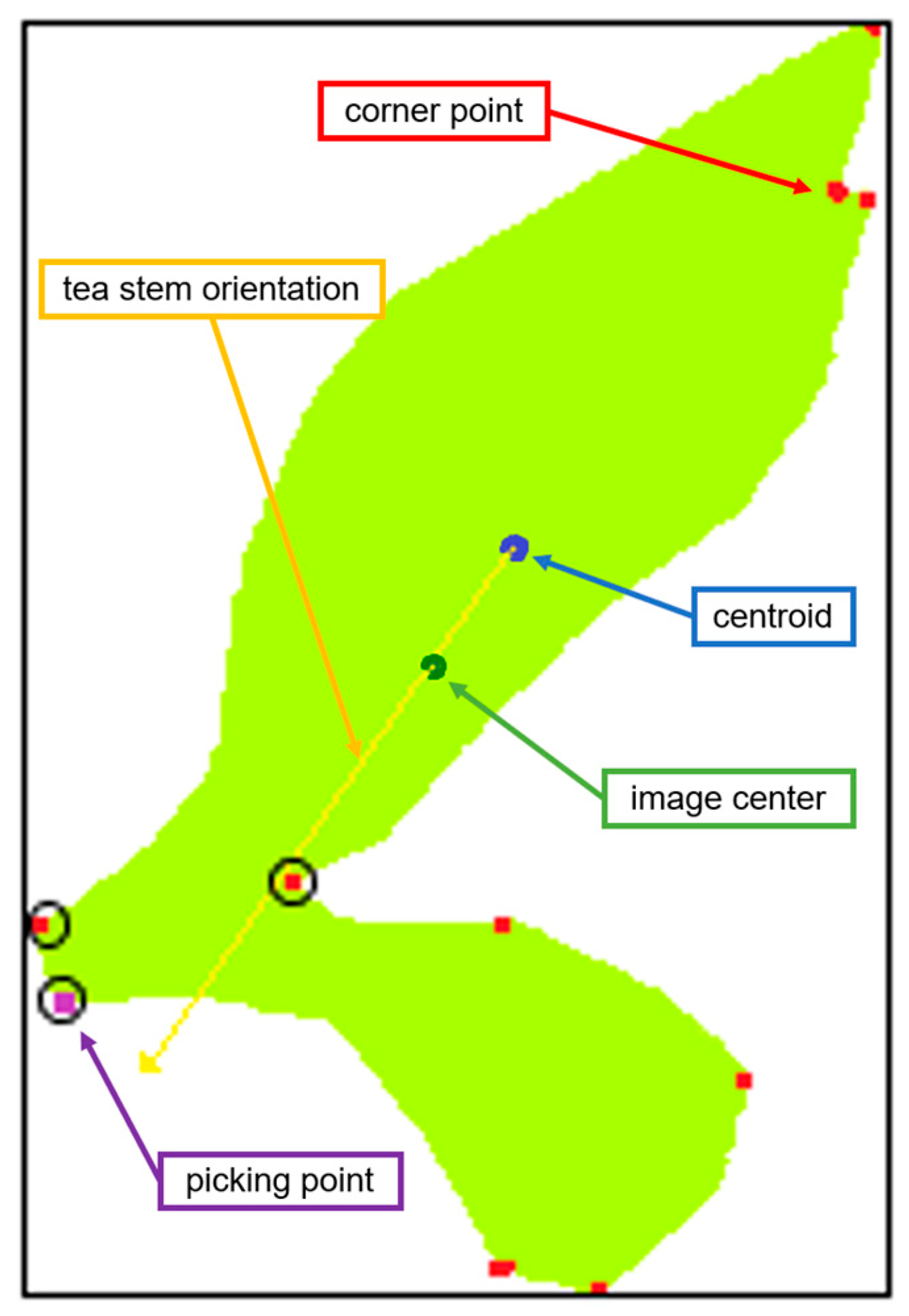 Agronomy 13 01537 g002