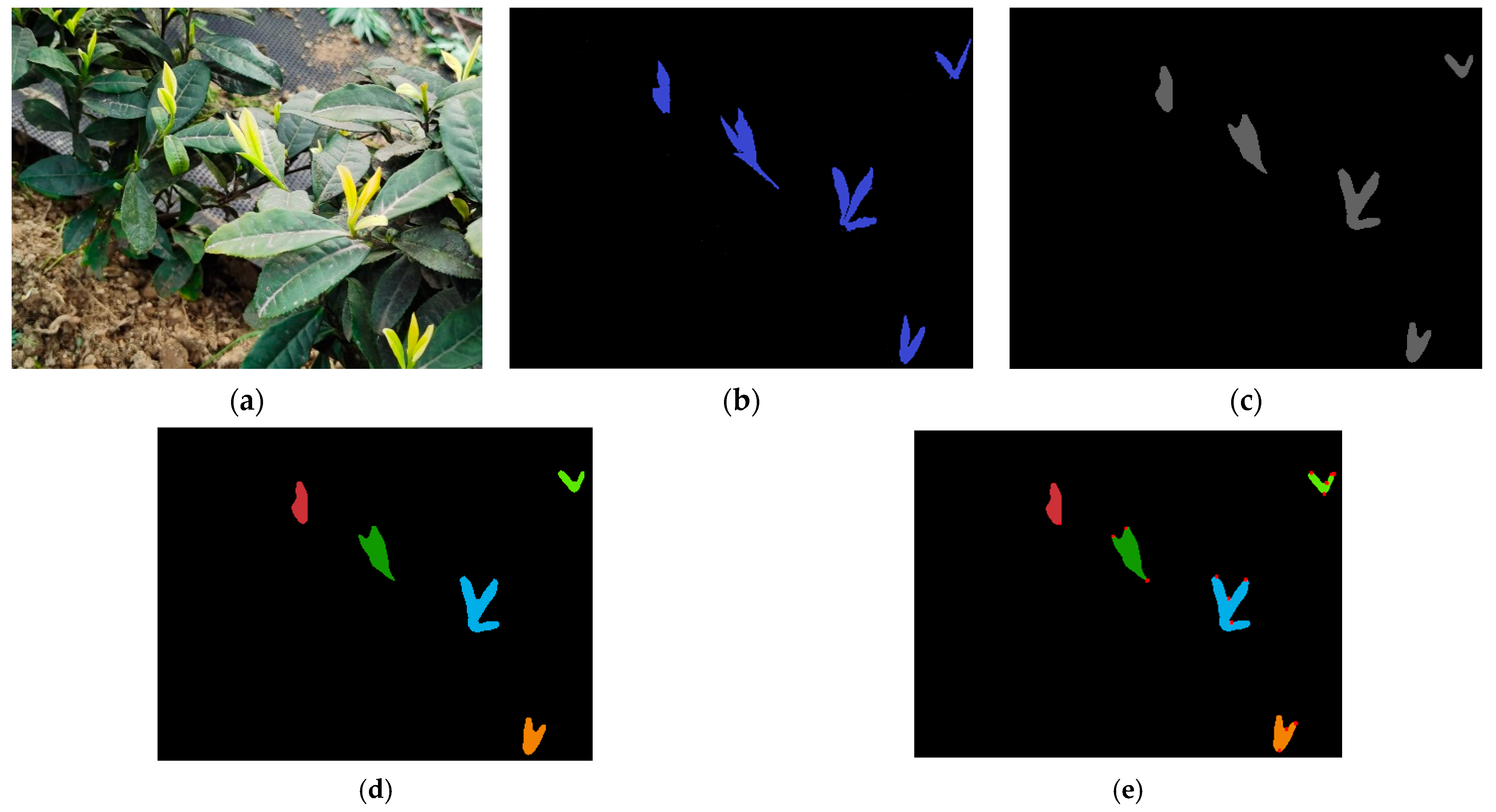 A Machine Vision-Based Method for Tea Buds Segmentation and Picking ...