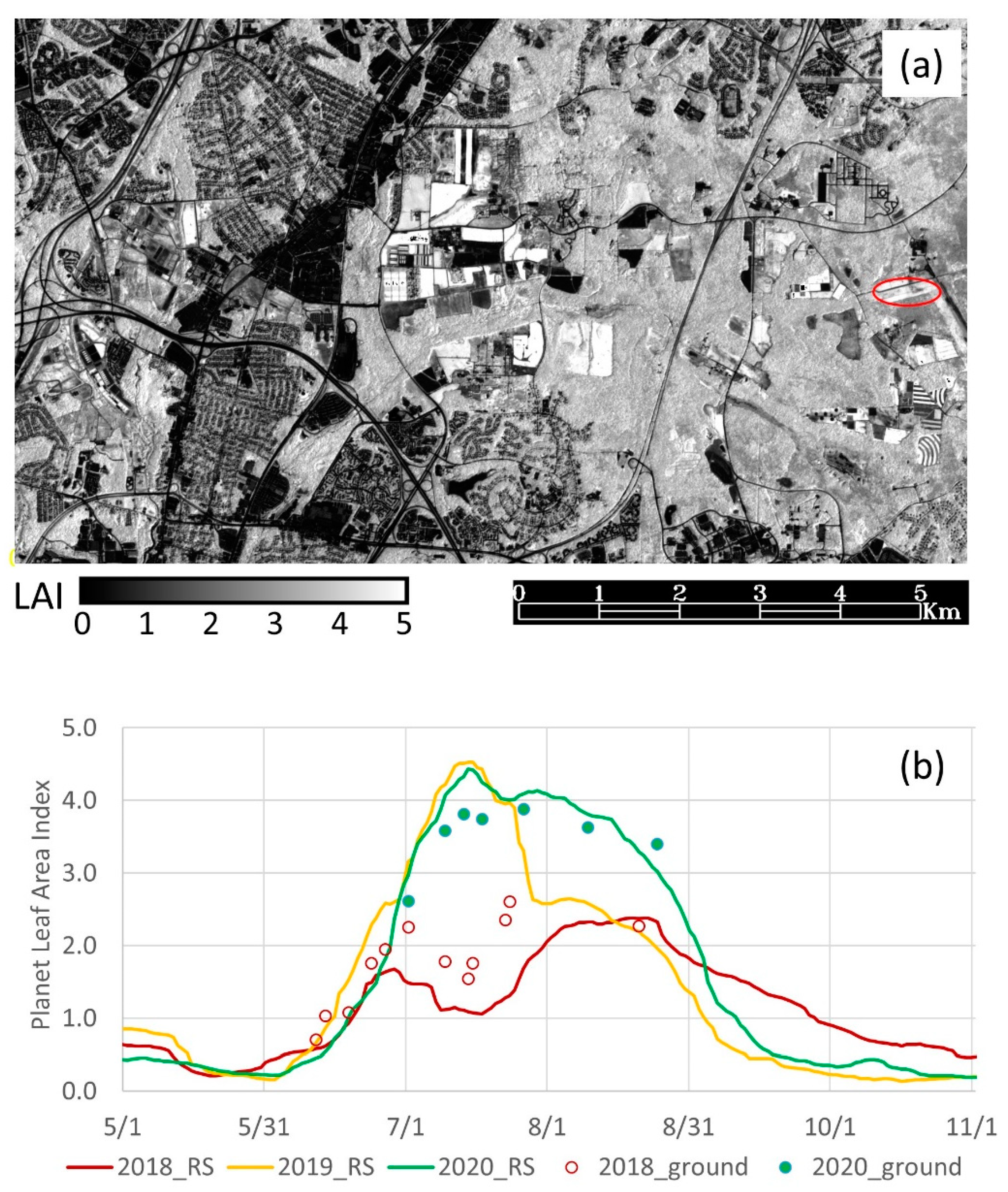 Agronomy 13 01540 g003 Agronomy 13 01540 g003