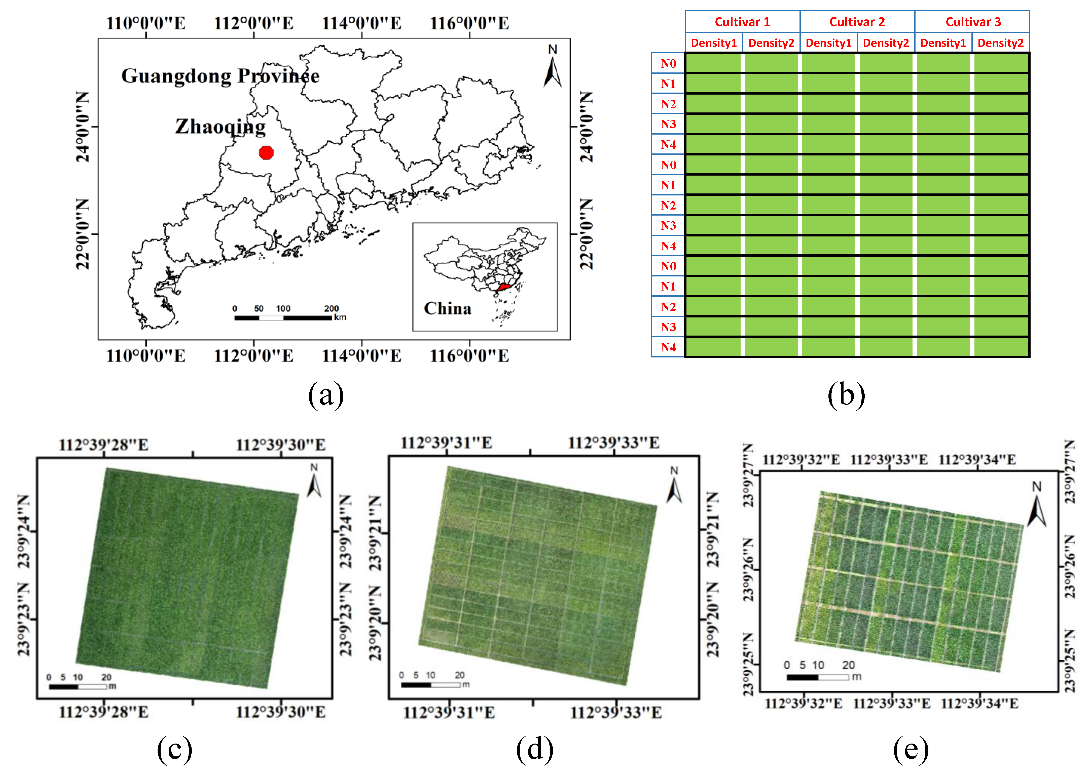 Agronomy 13 01541 g001 Agronomy 13 01541 g001