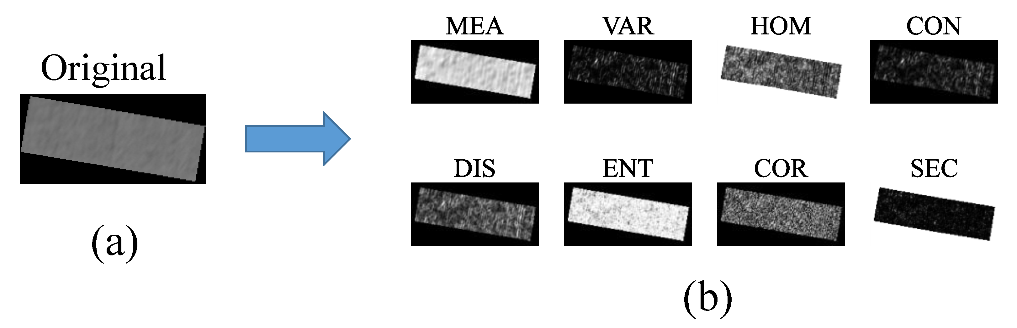 Agronomy 13 01541 g004 Agronomy 13 01541 g004