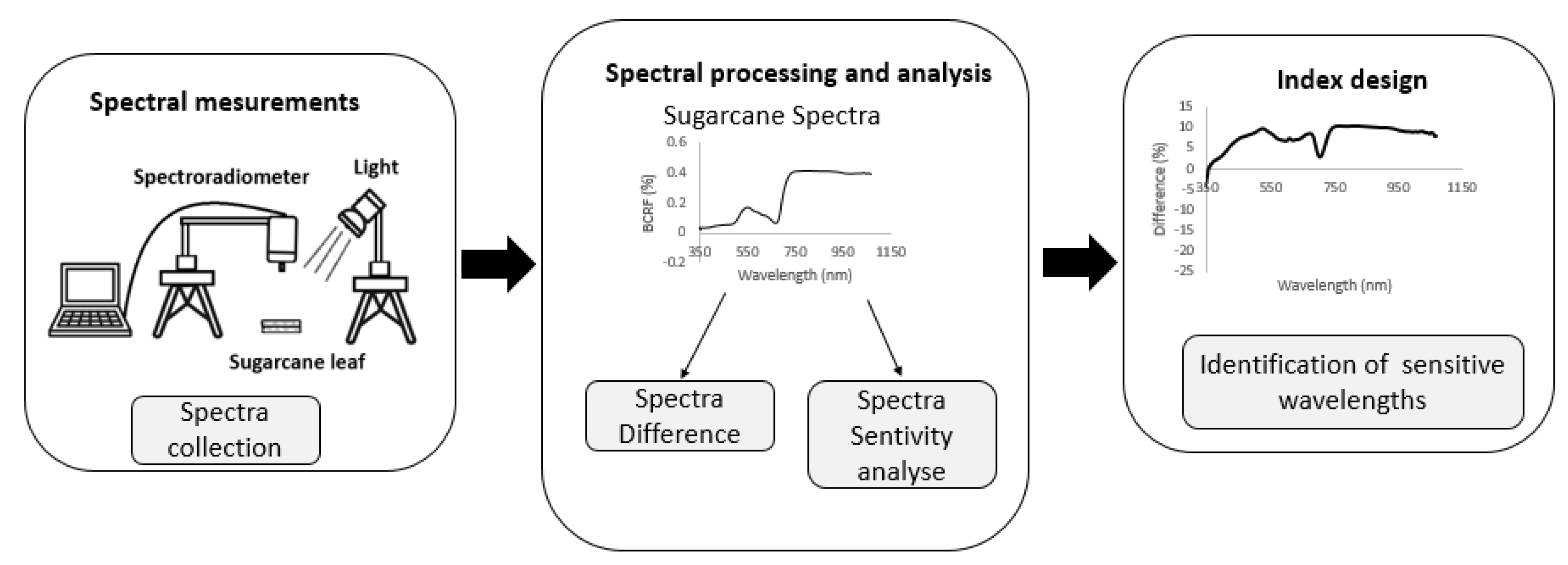 Agronomy 13 01542 g002 Agronomy 13 01542 g002