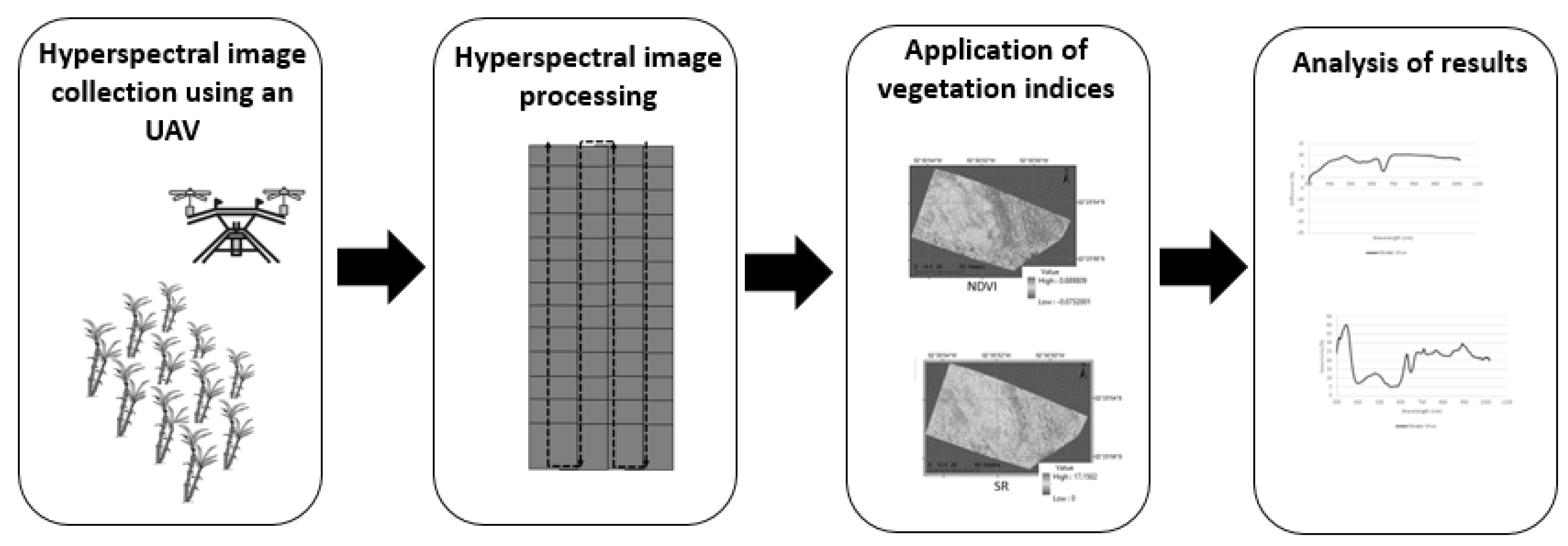 Agronomy 13 01542 g004 Agronomy 13 01542 g004