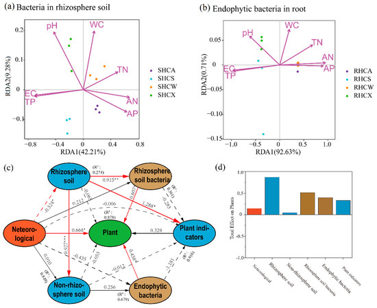 Changes of Key Soil Factors, Biochemistry and Bacterial Species ...