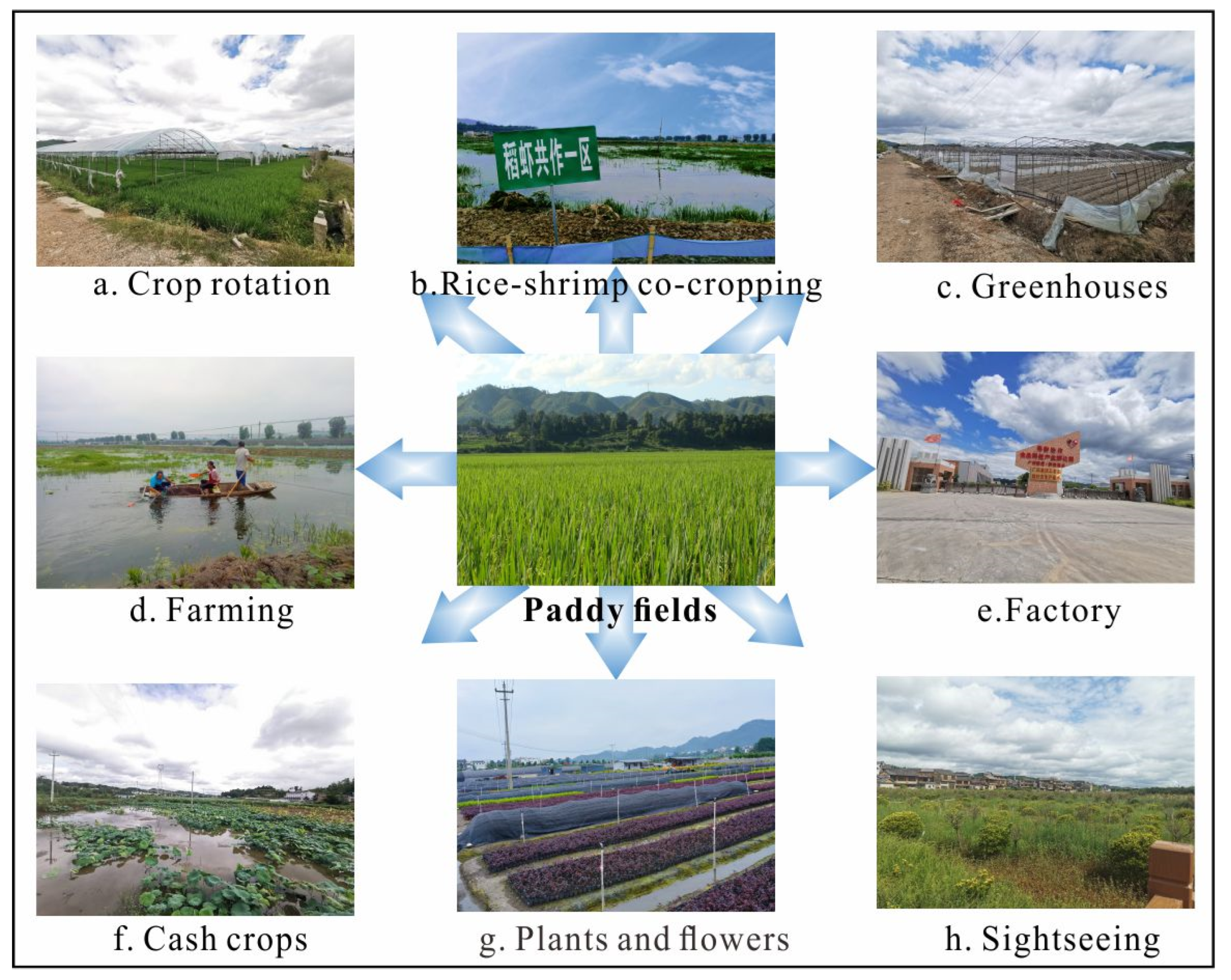 Agronomy 13 01552 g011 Agronomy 13 01552 g011